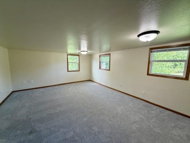 302 W Miller Street Property Photo 20
