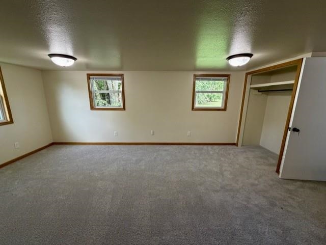 302 W Miller Street Property Photo 21