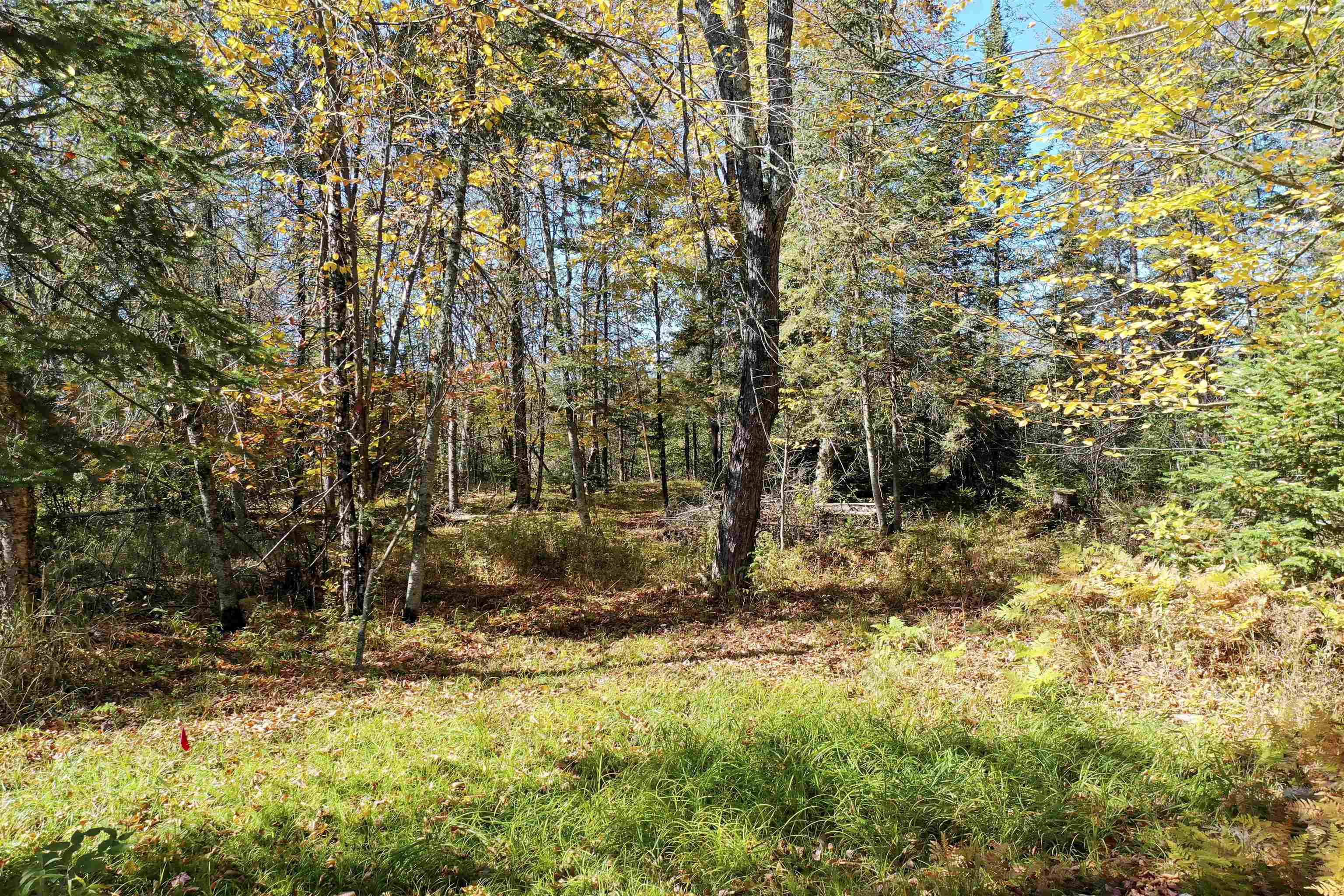 N5239 Lemke Creek Road Property Photo 4