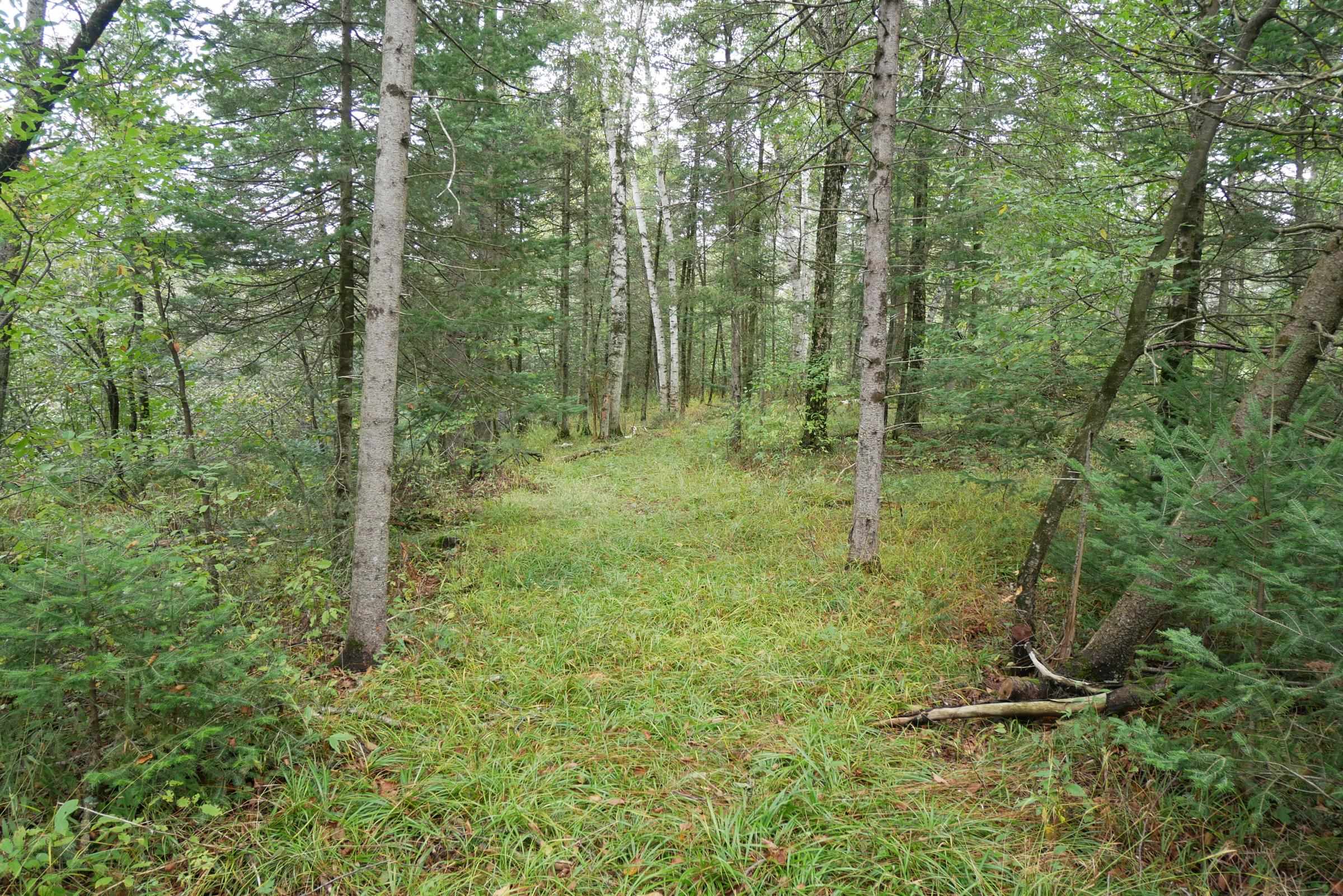 N5239 Lemke Creek Road Property Photo 5