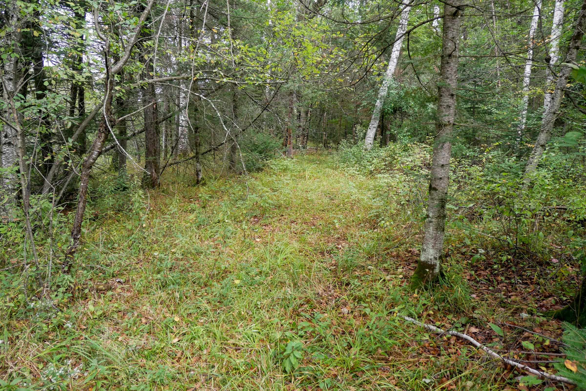 N5239 Lemke Creek Road Property Photo 6