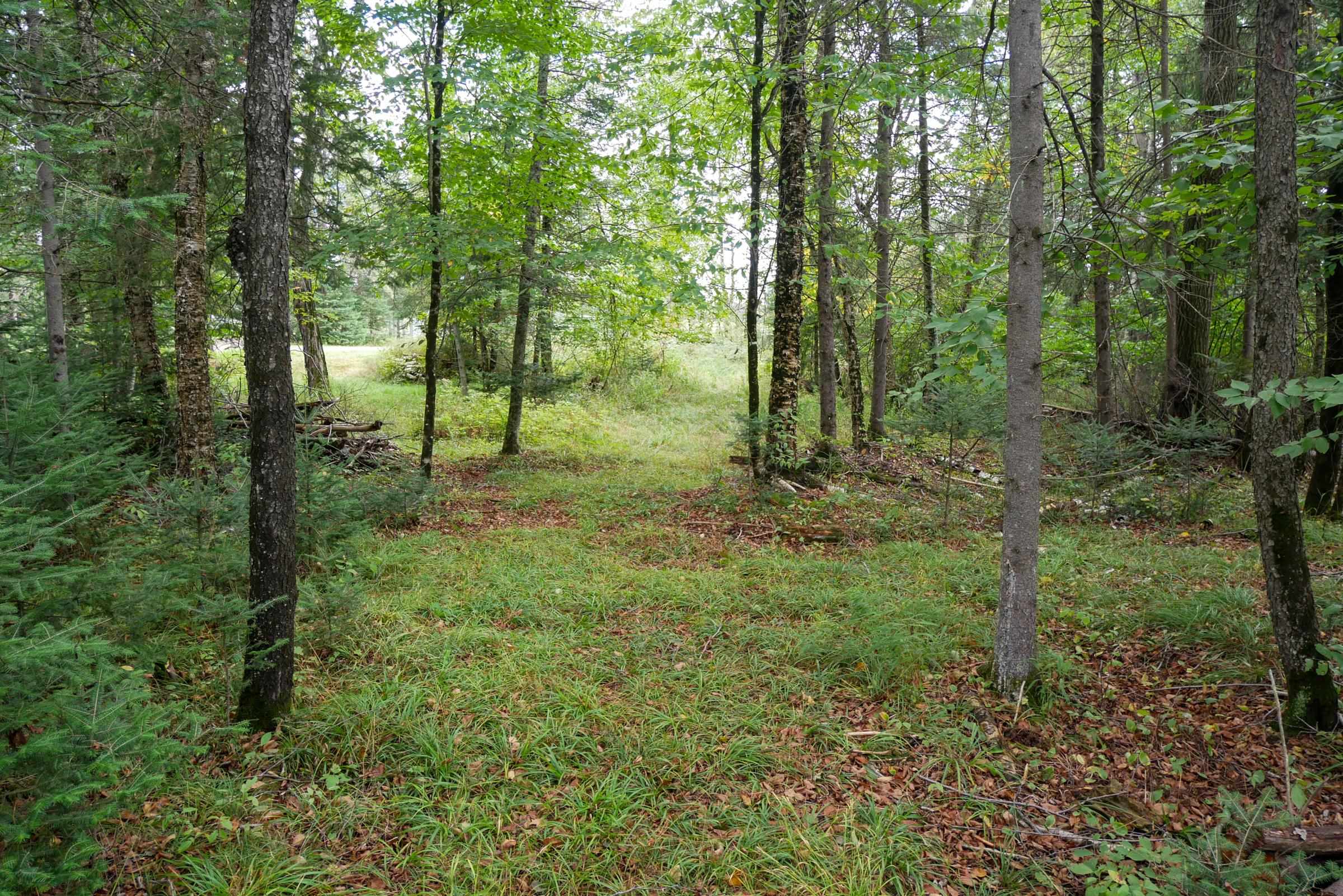 N5239 Lemke Creek Road Property Photo 7