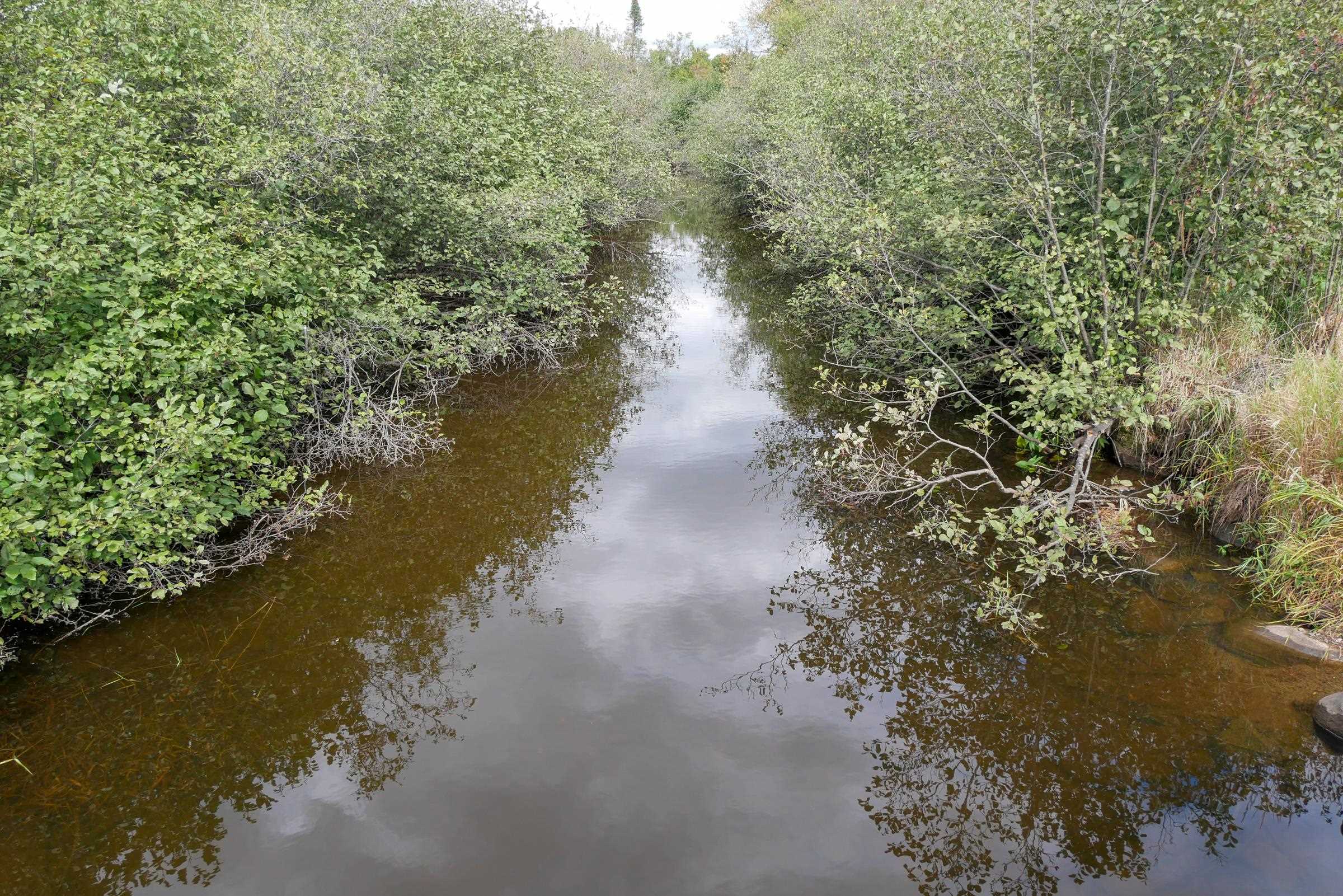 N5239 Lemke Creek Road Property Photo 8