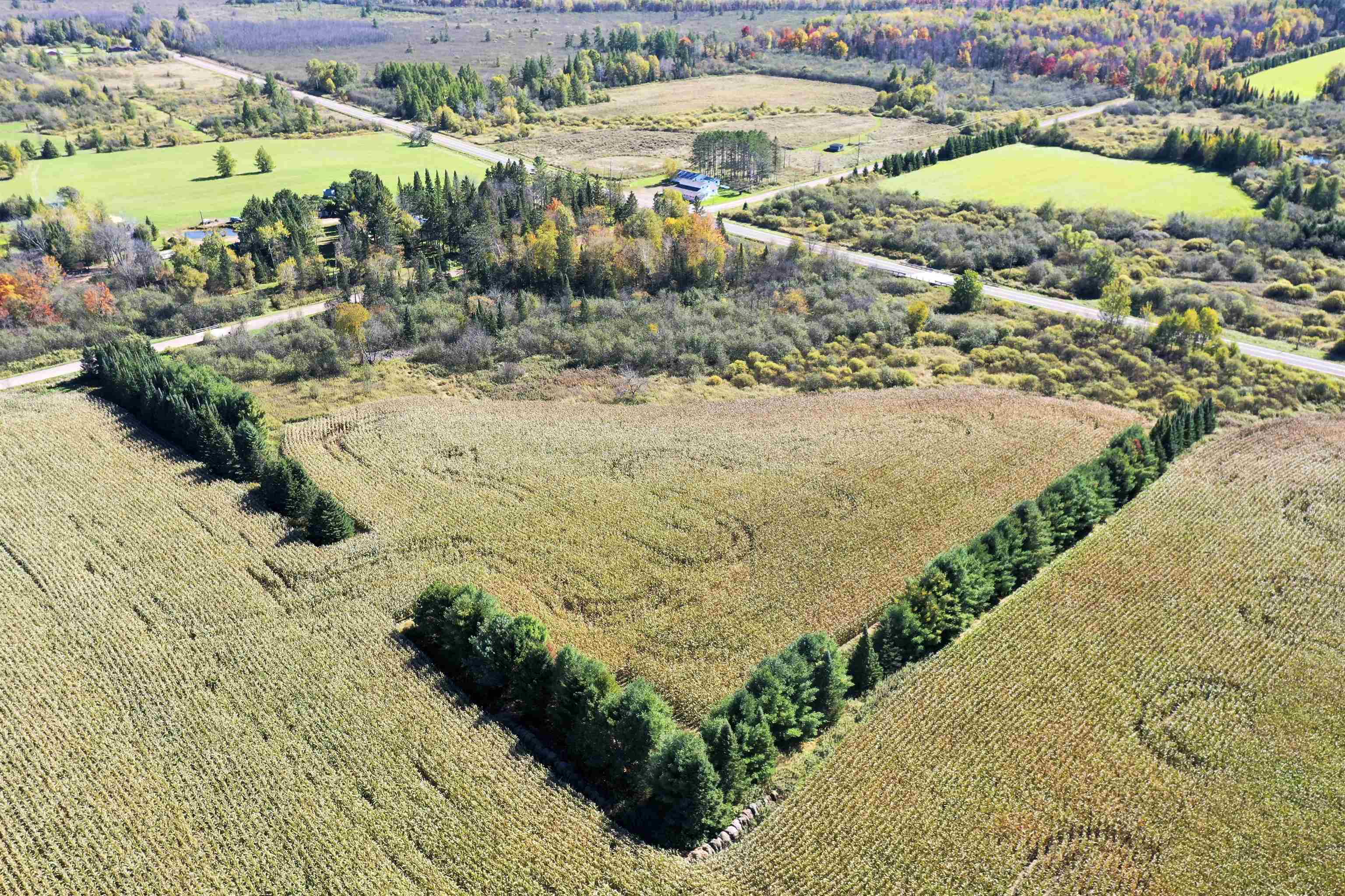 N5239 Lemke Creek Road Property Photo 13