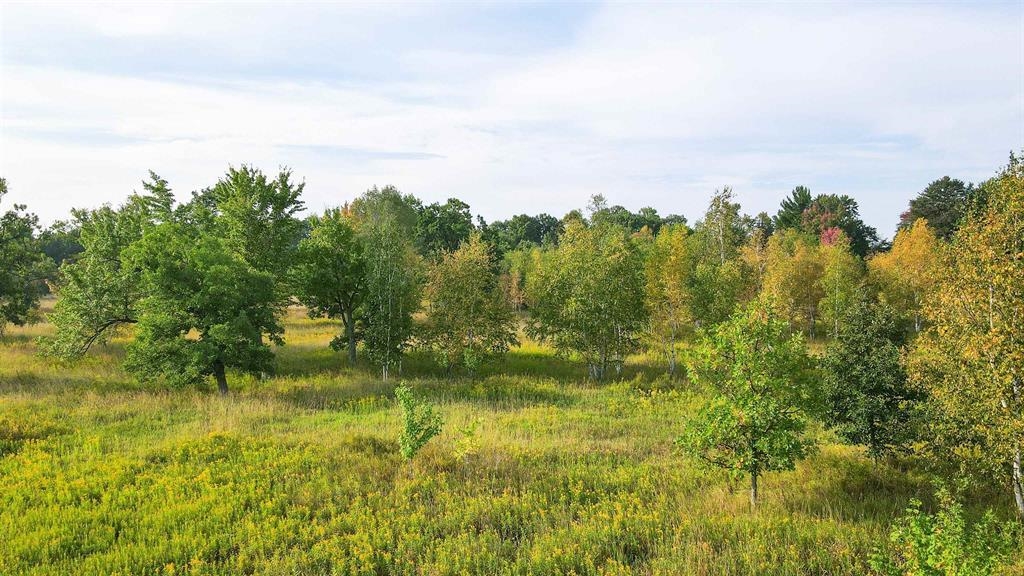 40 Acres County Road Ii Property Photo 2