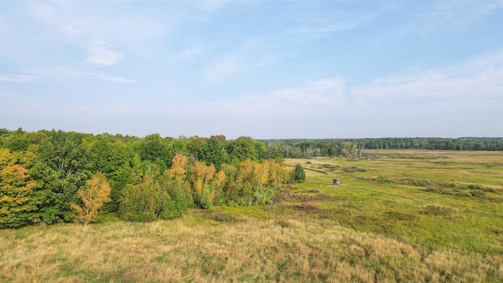 40 Acres County Road Ii Property Photo 3