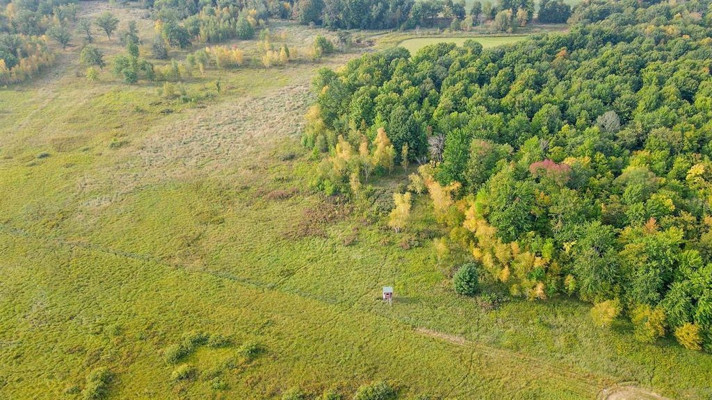 40 Acres County Road Ii Property Photo 4