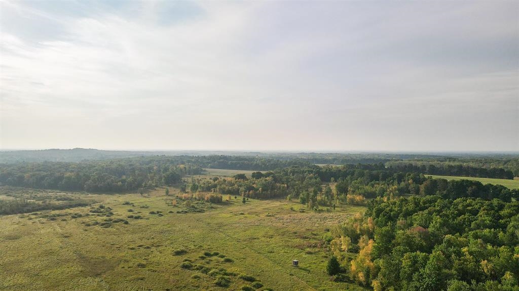 40 Acres County Road Ii Property Photo 11
