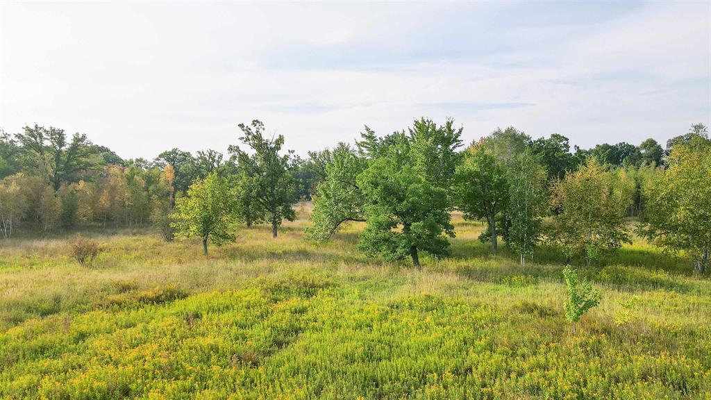 40 Acres County Road Ii Property Photo 12