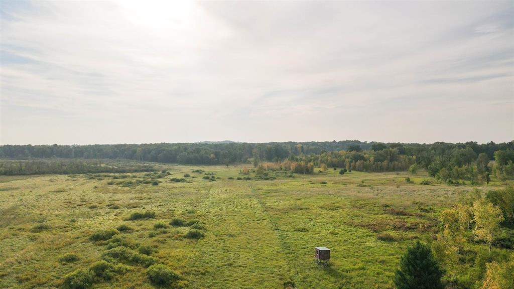 40 Acres County Road Ii Property Photo 13