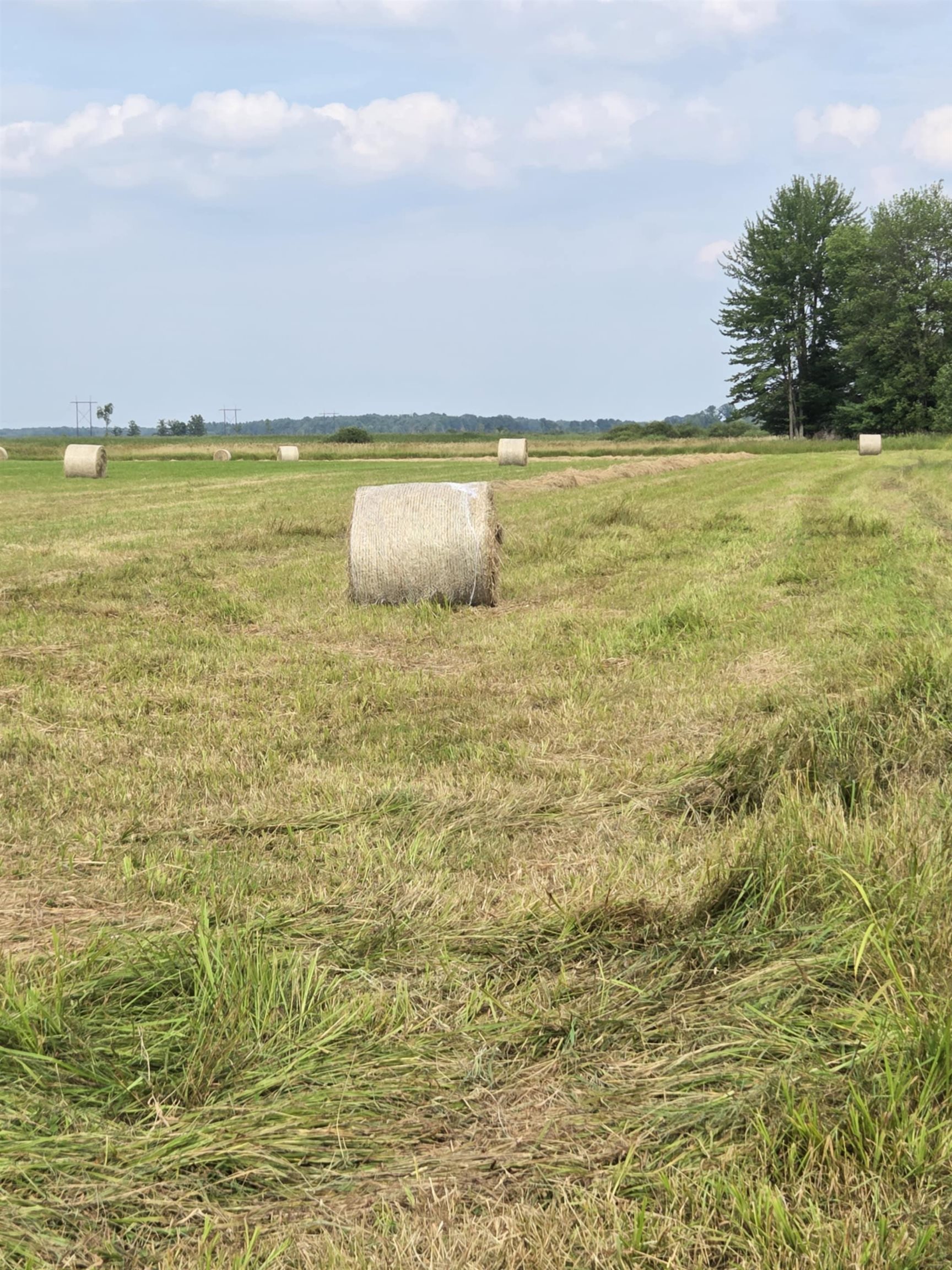 40 Acres County Road Ii Property Photo 16