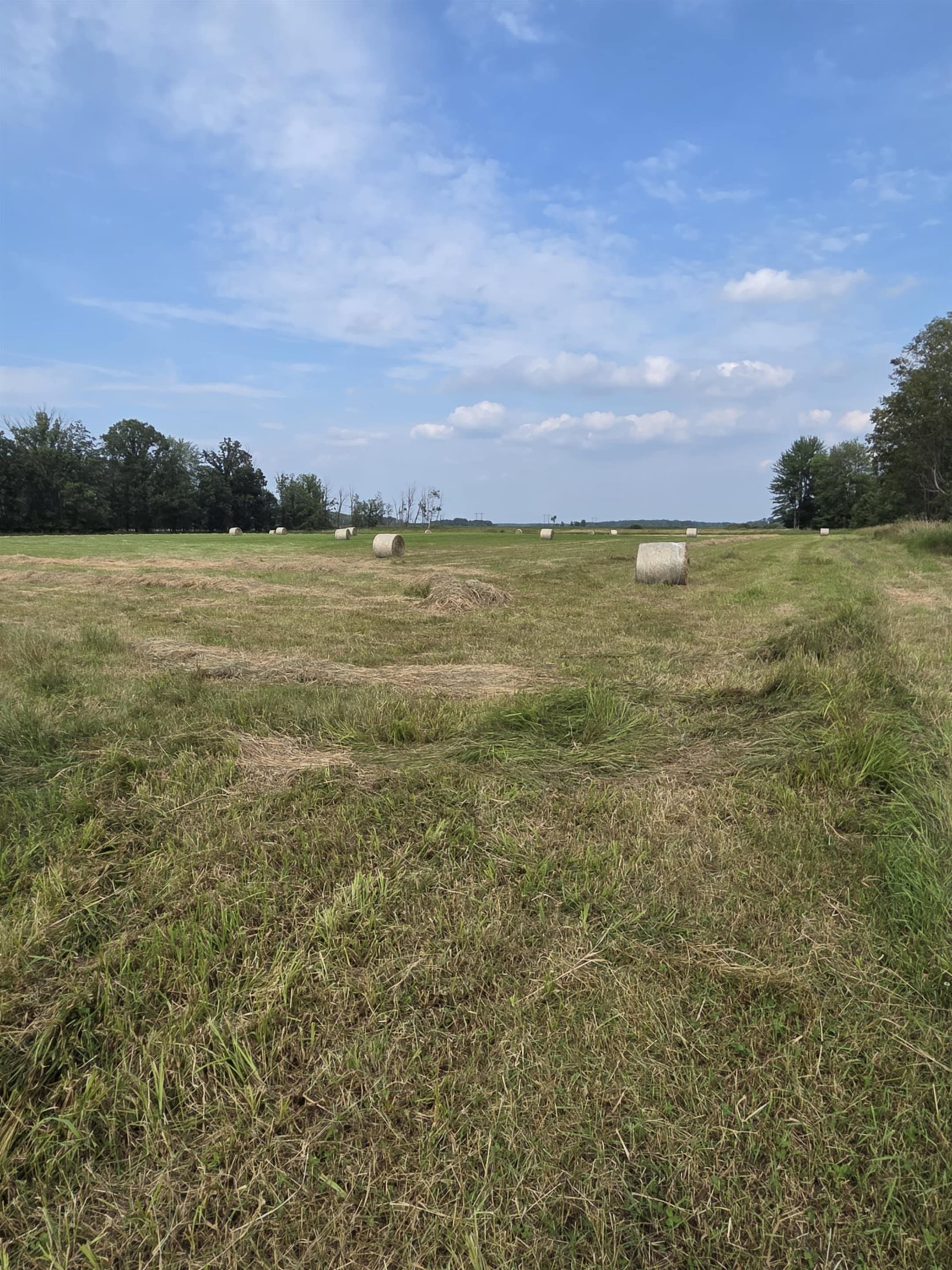 40 Acres County Road Ii Property Photo 17