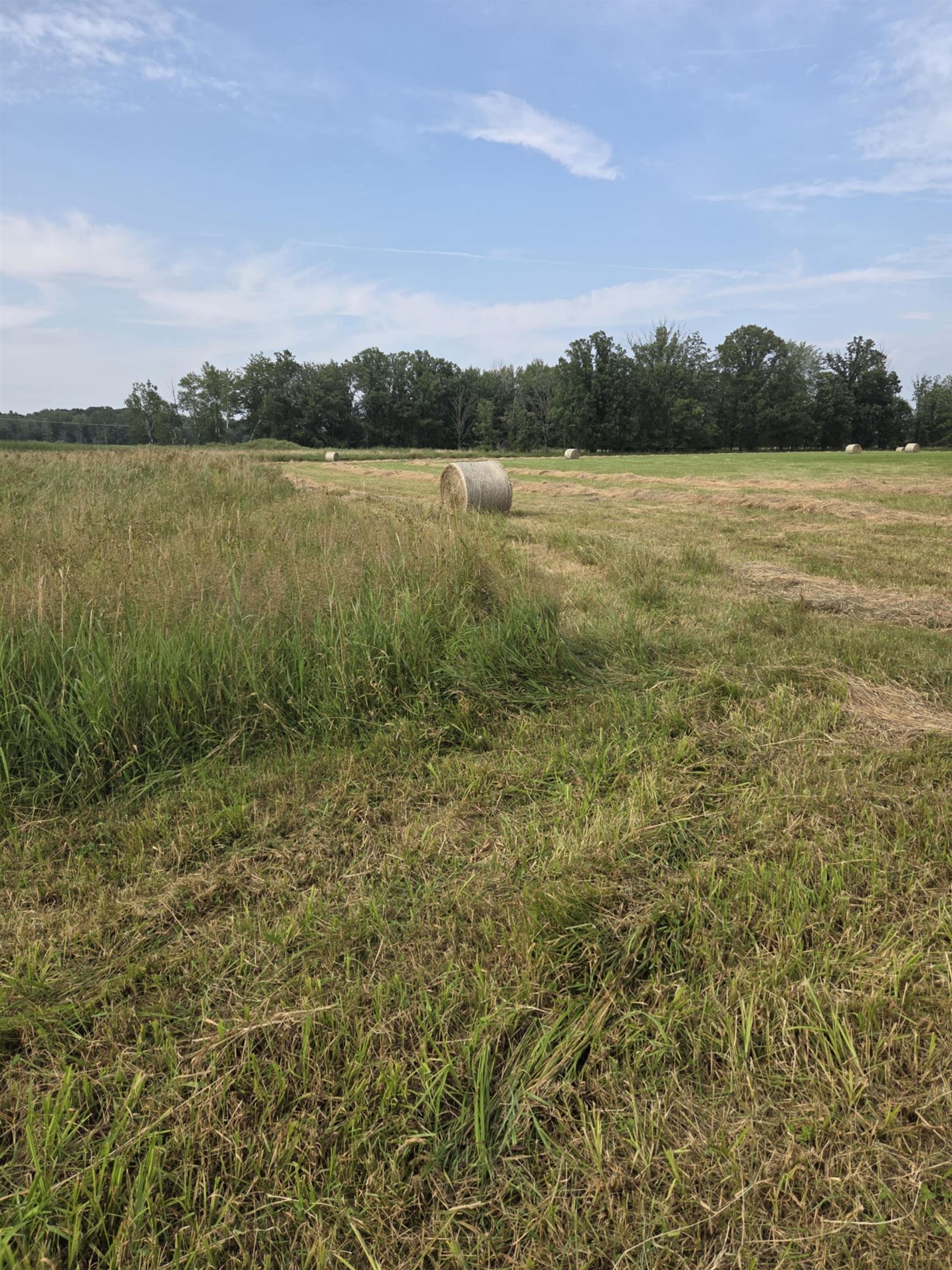 40 Acres County Road Ii Property Photo 18