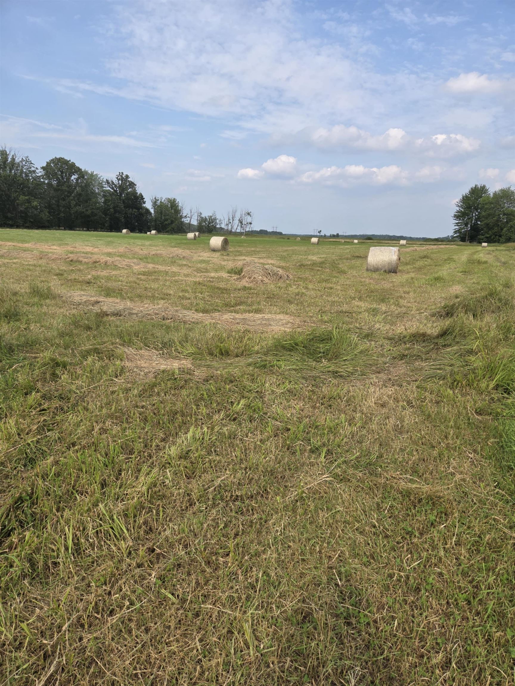 40 Acres County Road Ii Property Photo 19