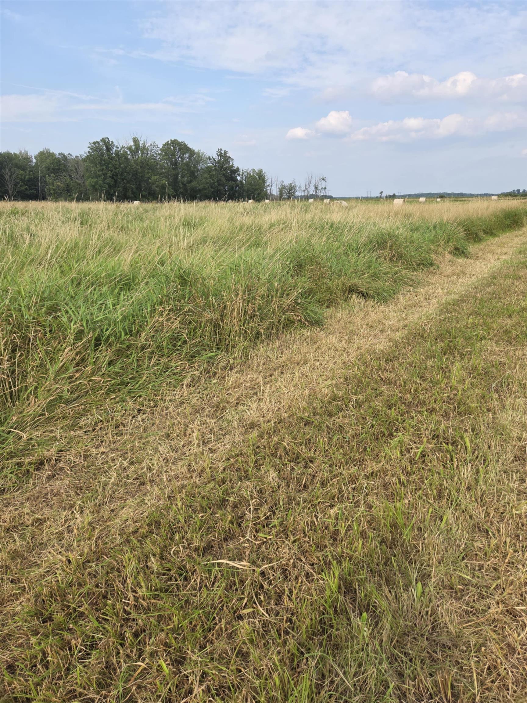 40 Acres County Road Ii Property Photo 20