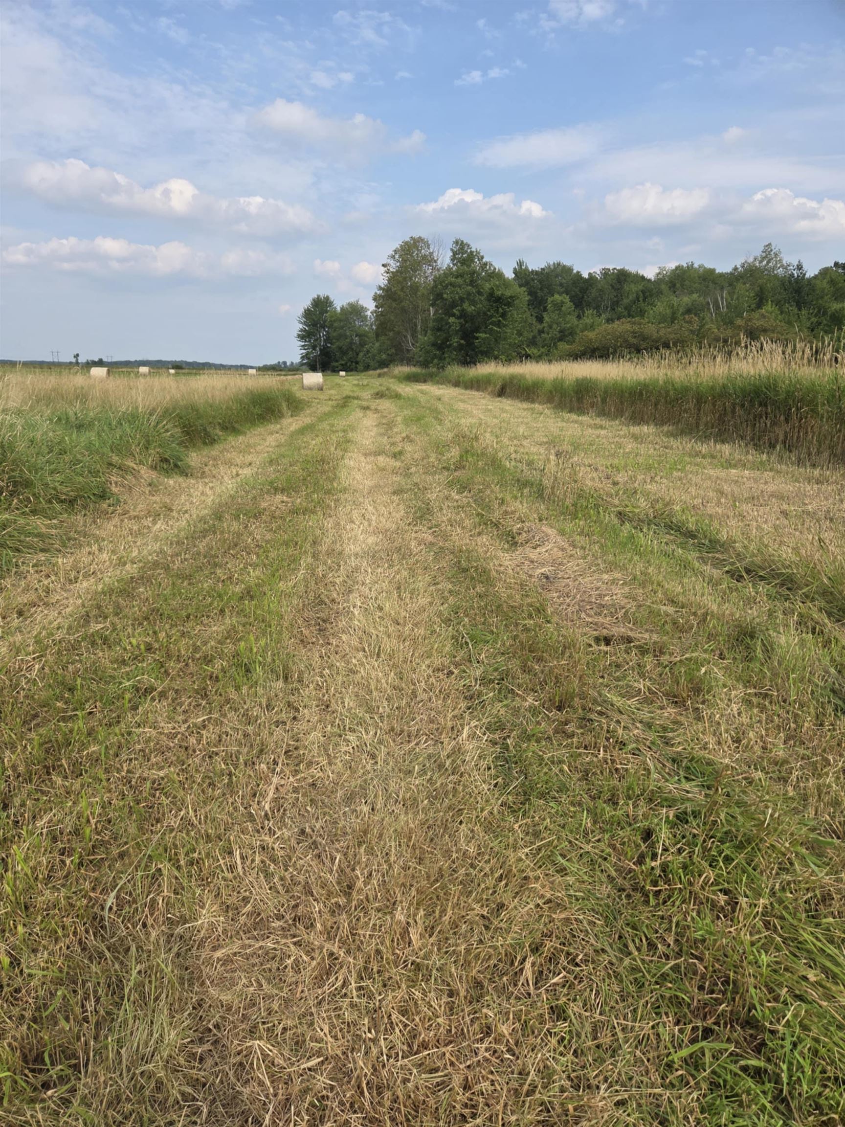 40 Acres County Road Ii Property Photo 21