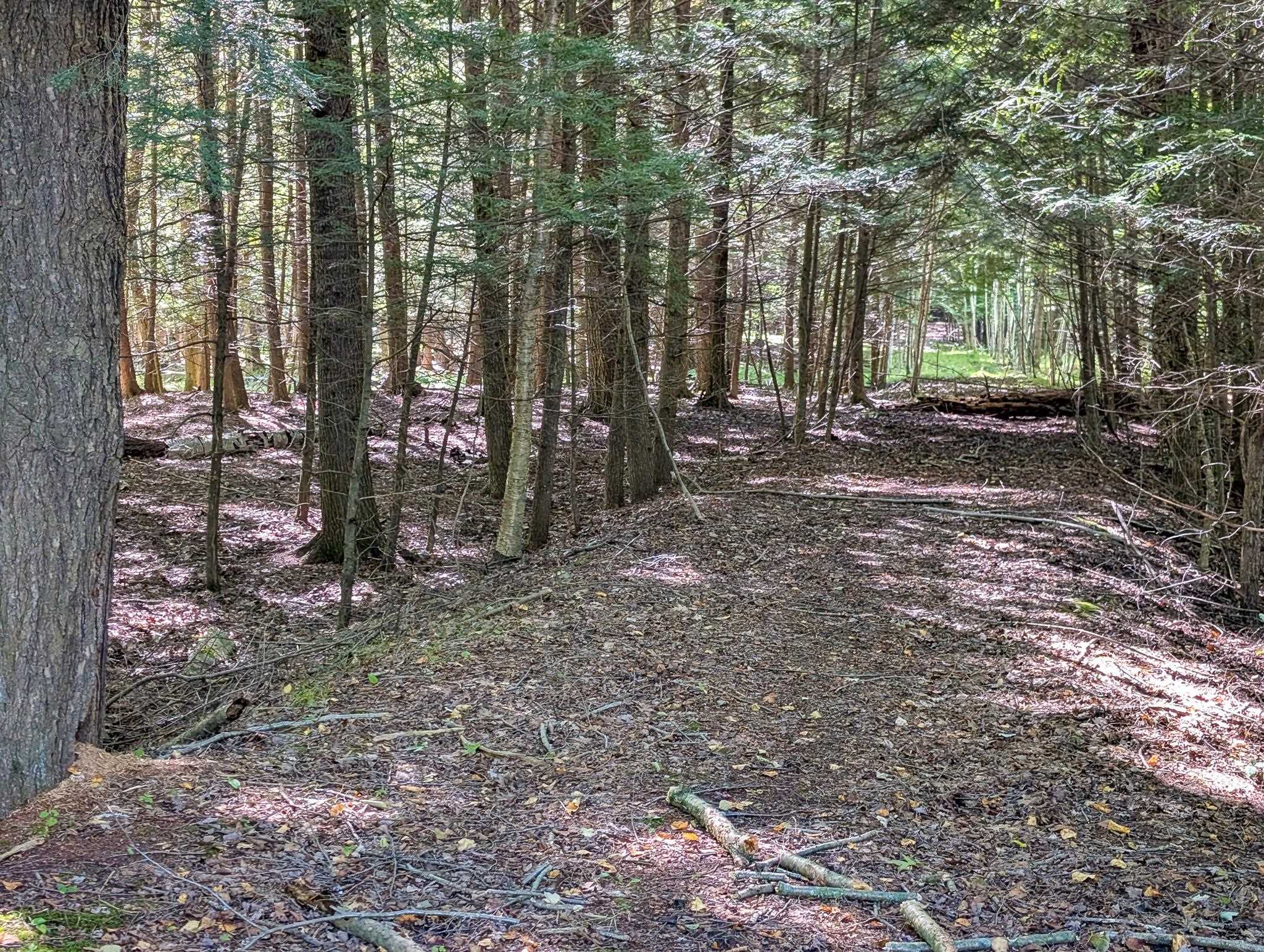1115 W Cassidy Drive Property Photo 3