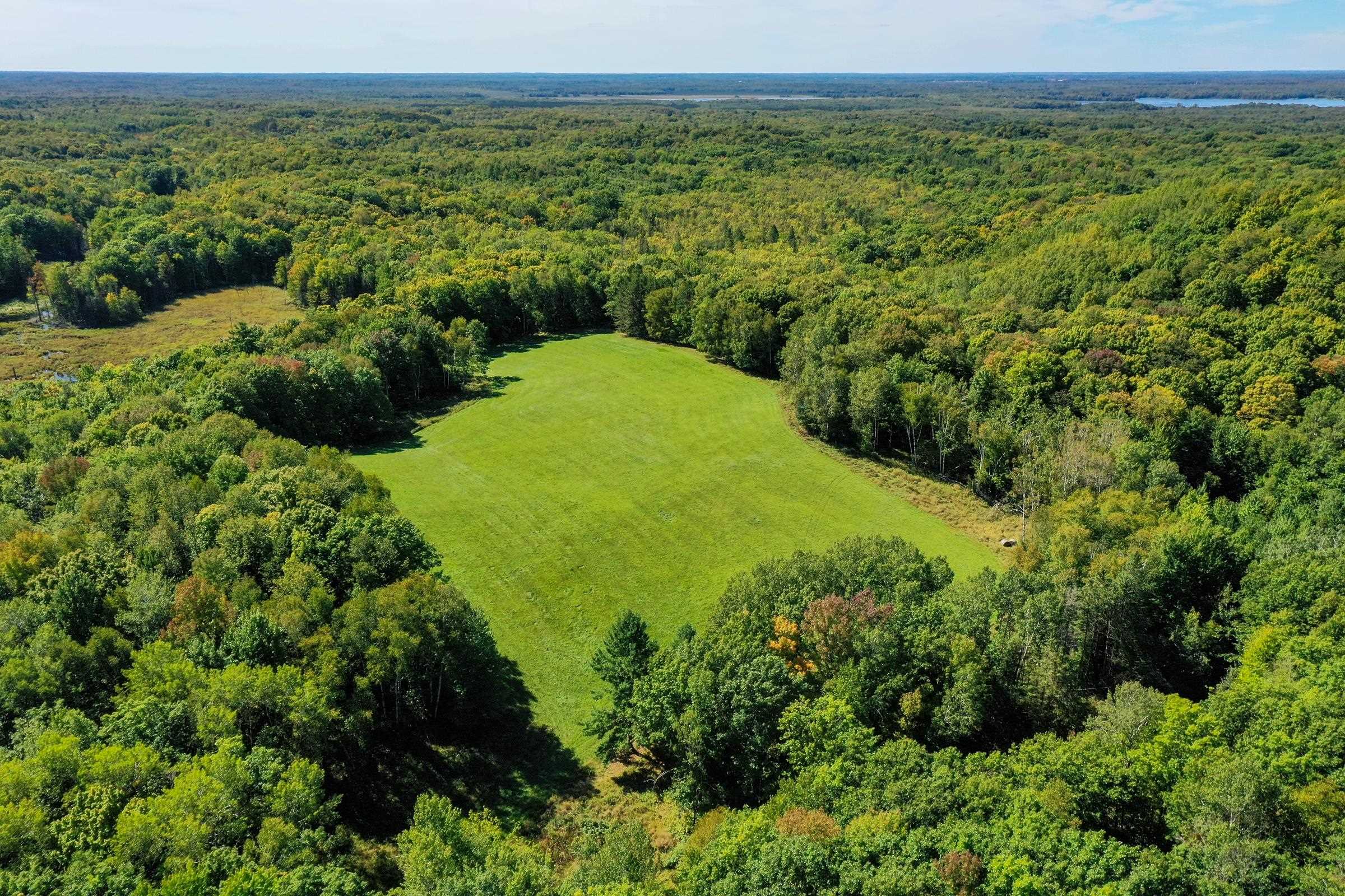 34.34 Acres Brush Creek Road Property Photo 1
