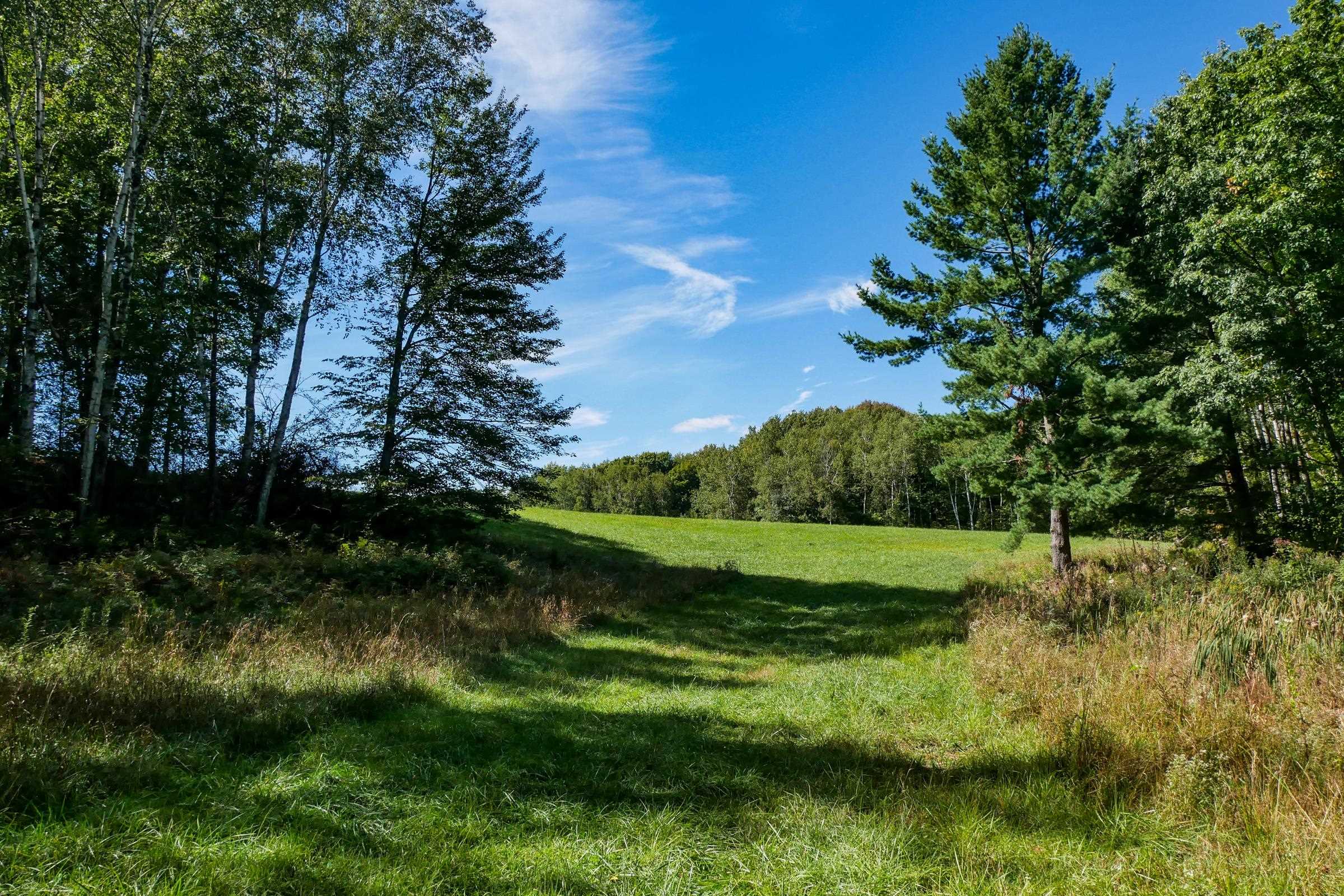 34.34 Acres Brush Creek Road Property Photo 2