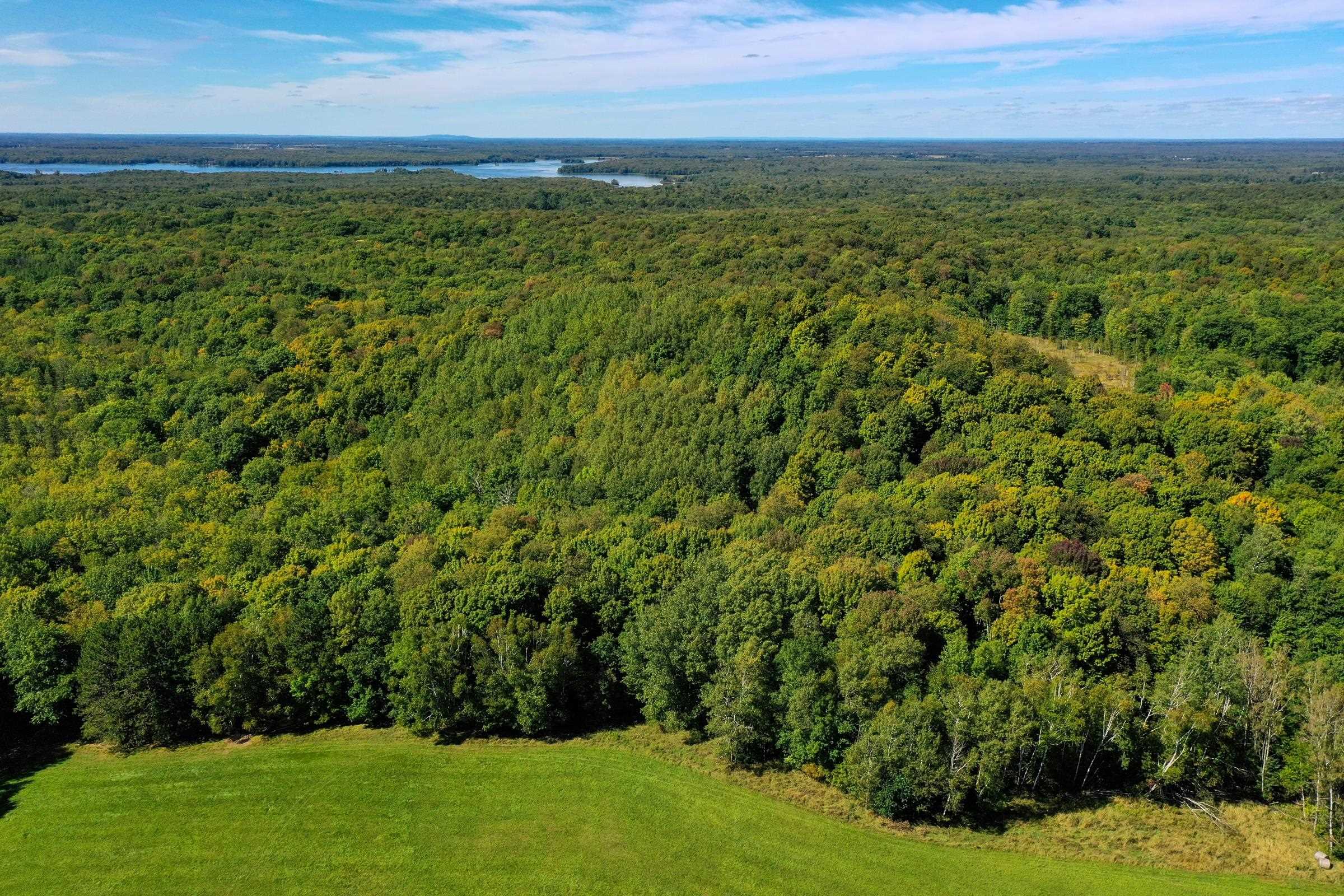 34.34 Acres Brush Creek Road Property Photo 3