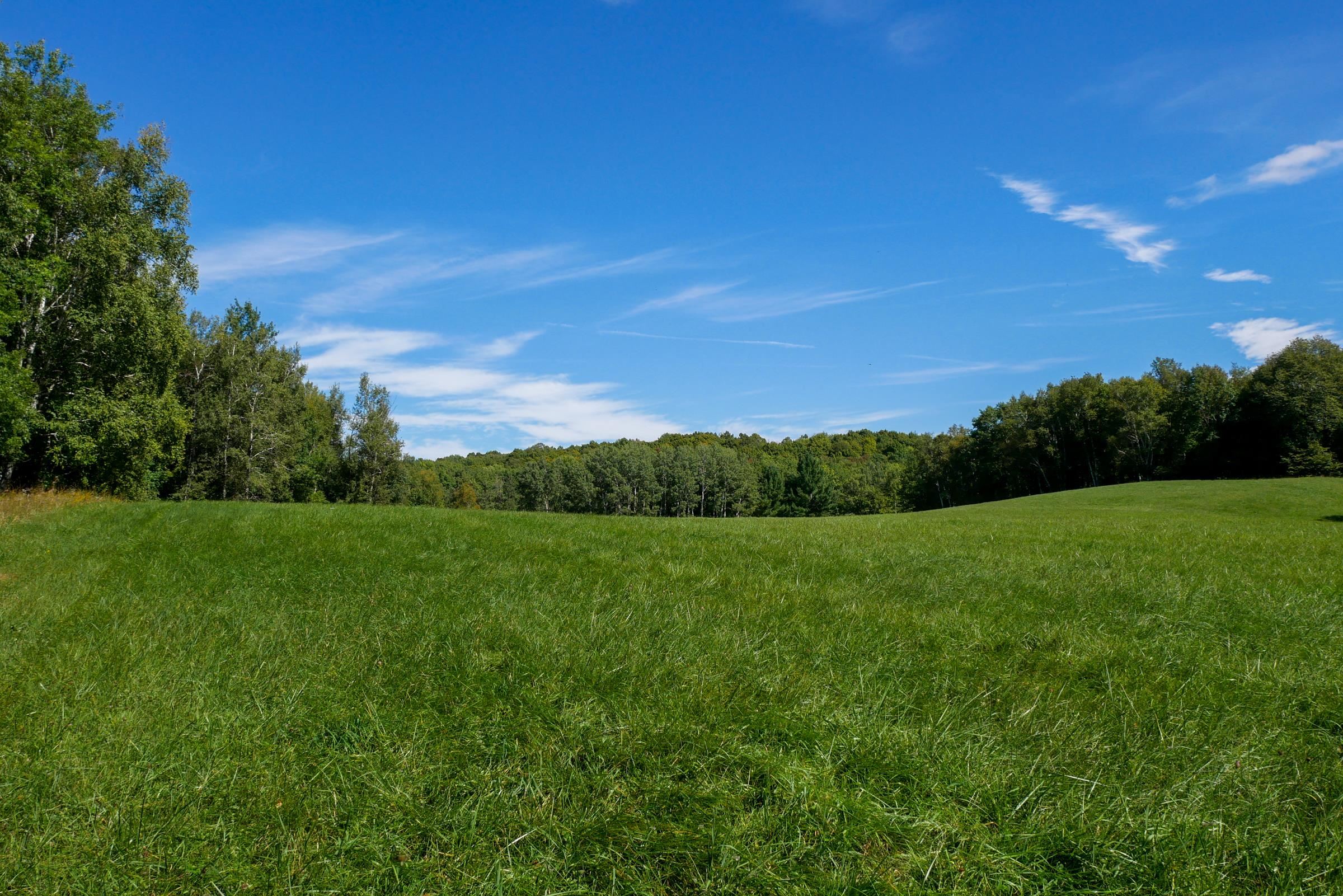 34.34 Acres Brush Creek Road Property Photo 4