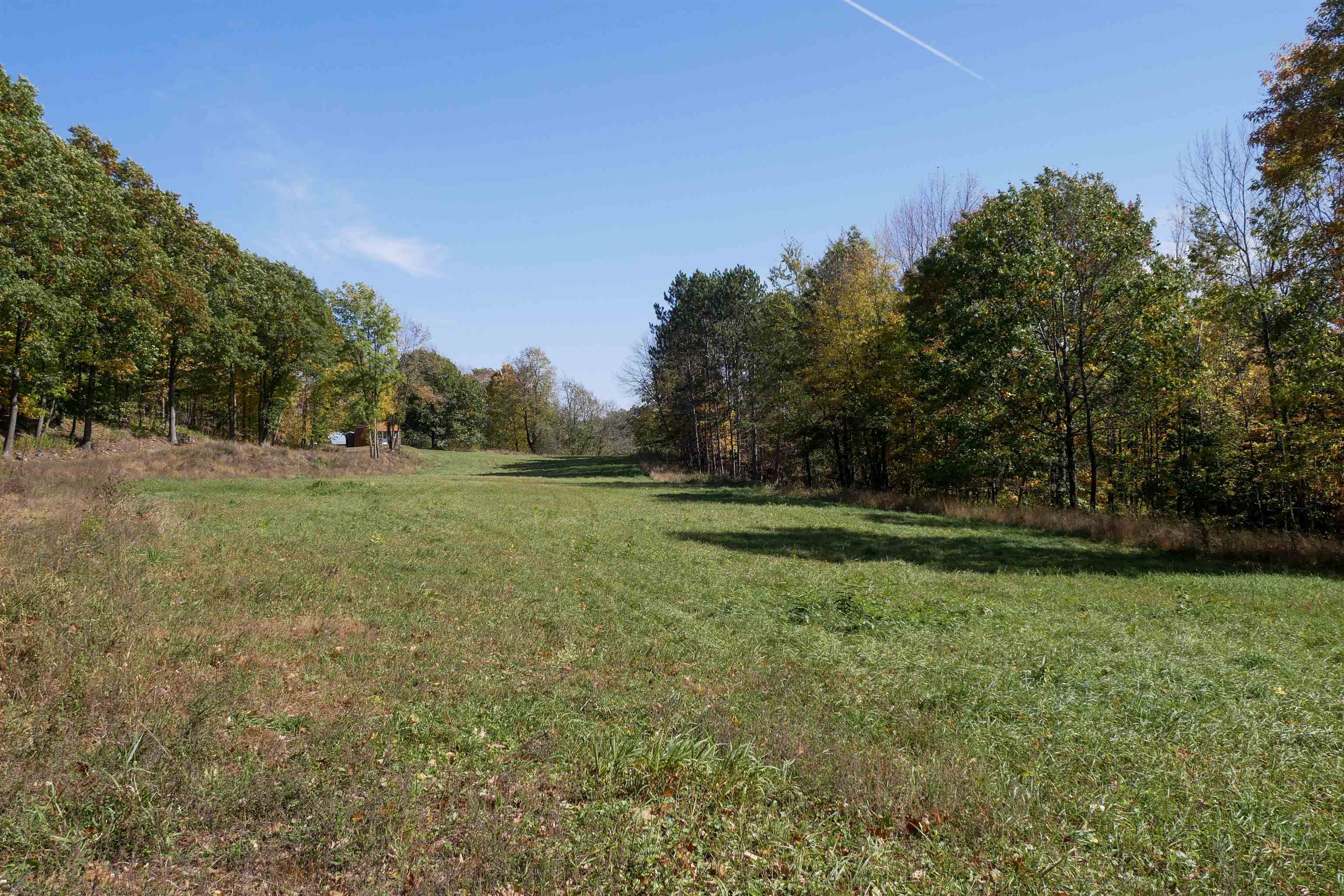 55.55 Acres Brush Creek Road Property Photo 2