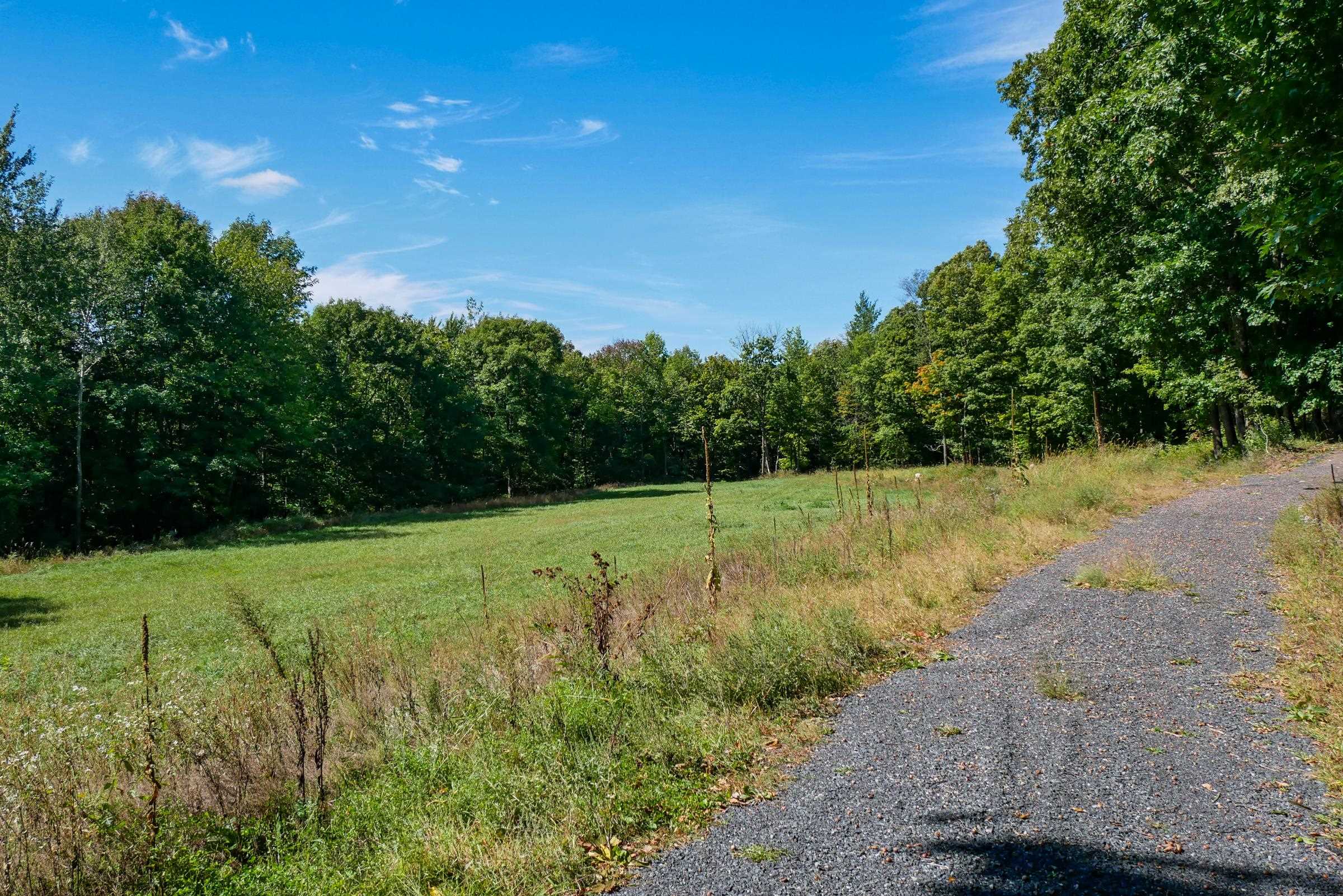 55.55 Acres Brush Creek Road Property Photo 3