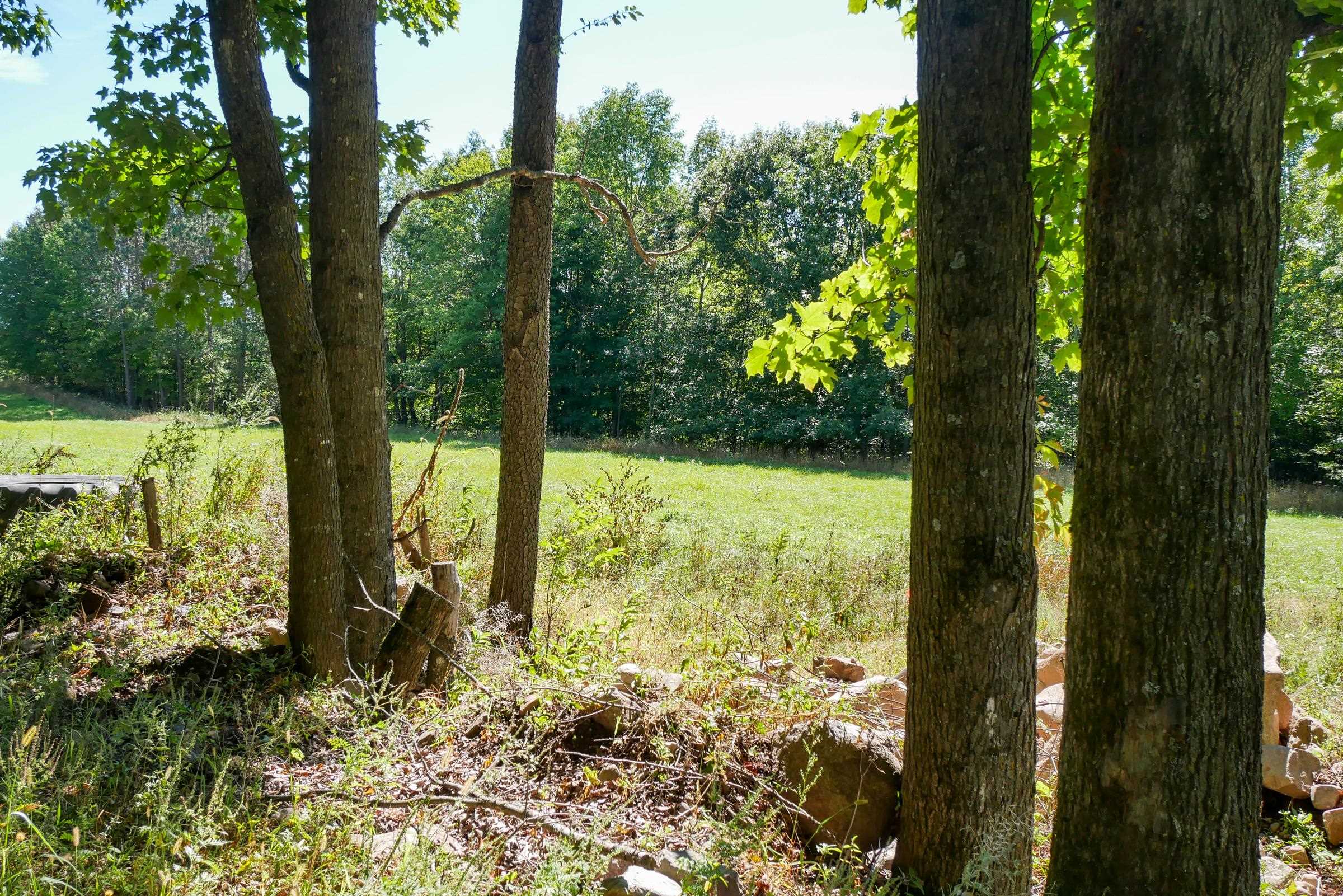 55.55 Acres Brush Creek Road Property Photo 7