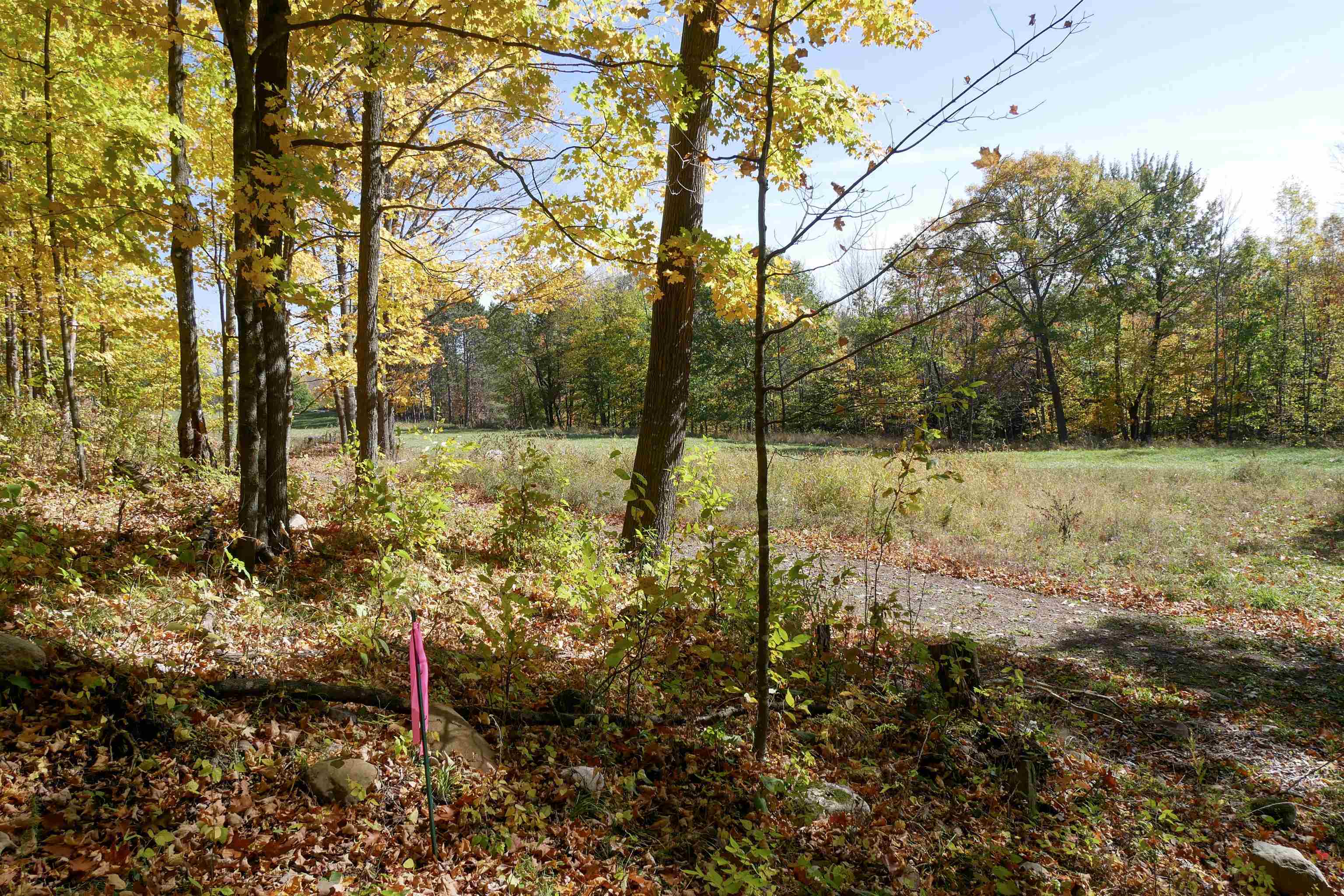 55.55 Acres Brush Creek Road Property Photo 9