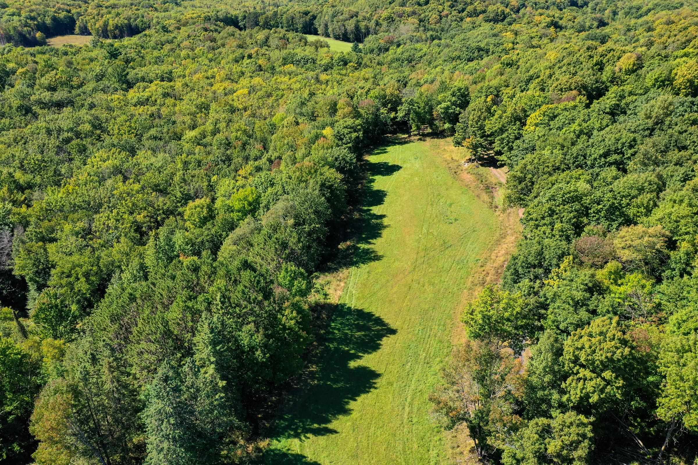 55.55 Acres Brush Creek Road Property Photo 11