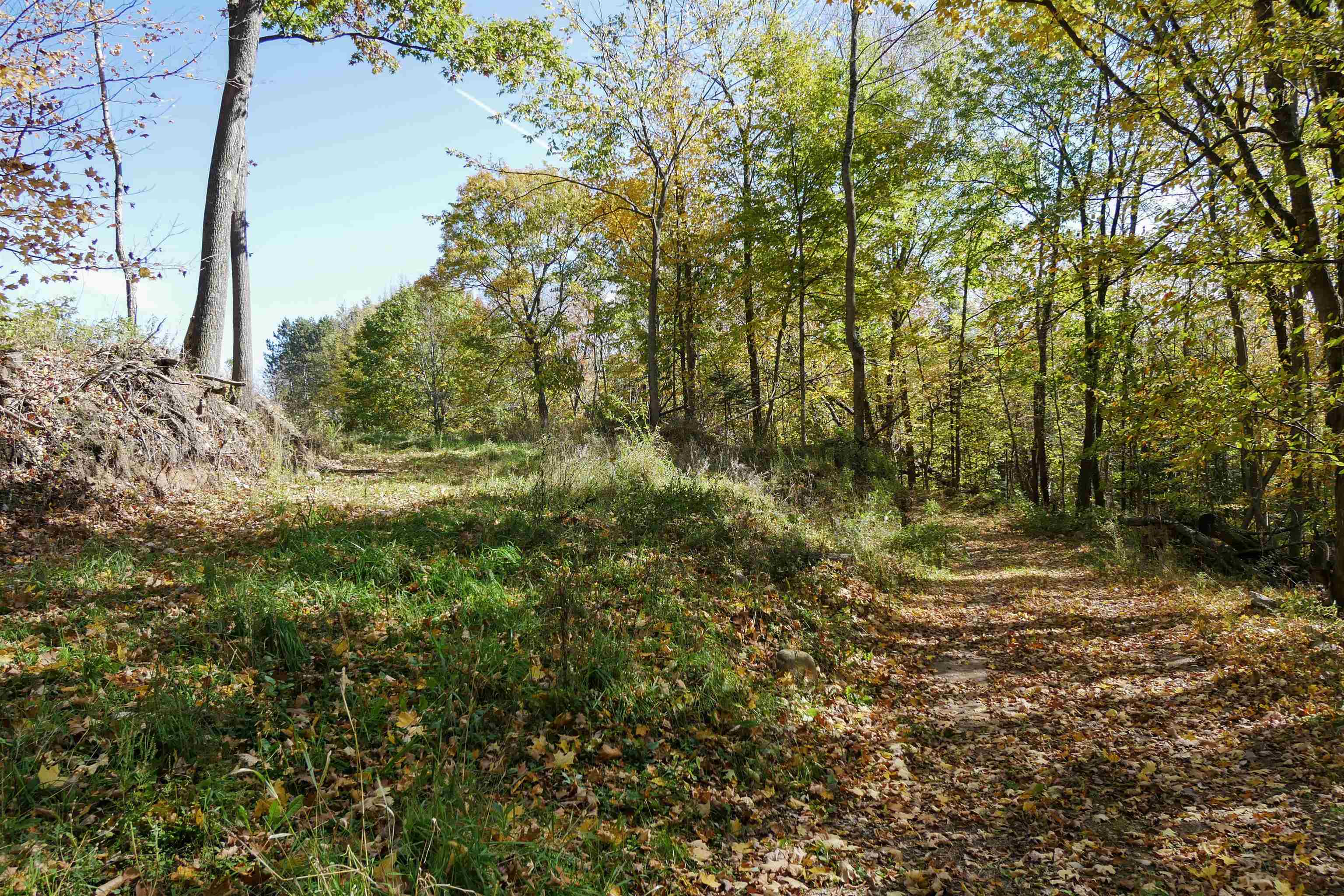55.55 Acres Brush Creek Road Property Photo 13
