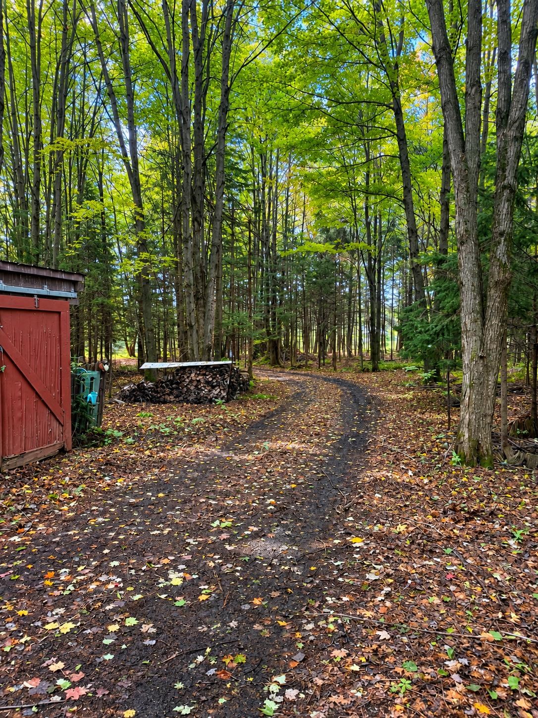 N3879 Mandy Lane Property Photo 14