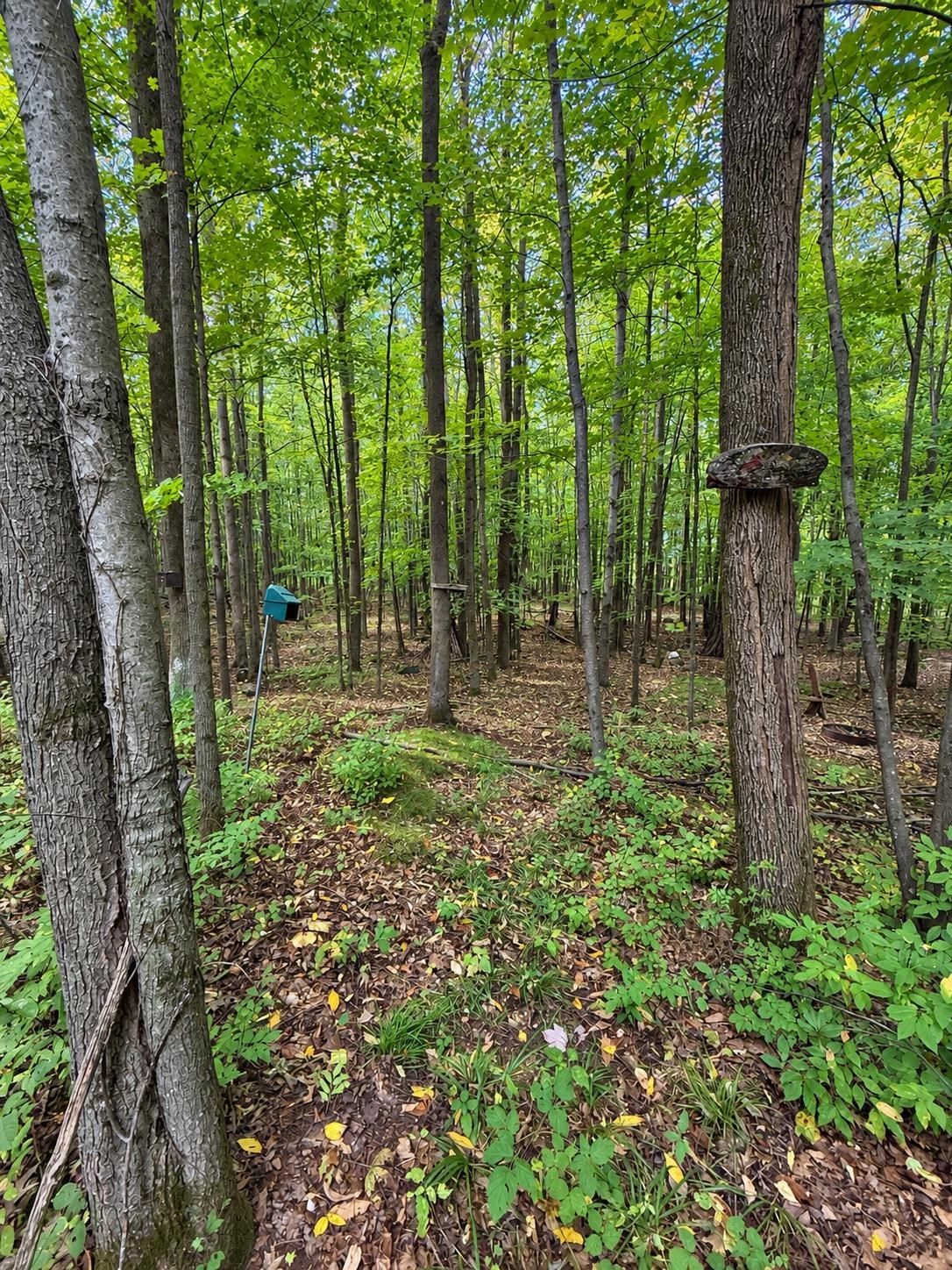 N3879 Mandy Lane Property Photo 15