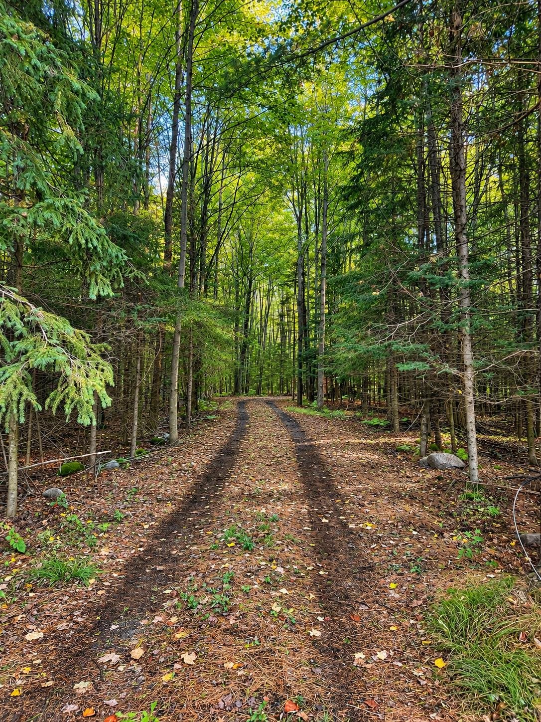 N3879 Mandy Lane Property Photo 17