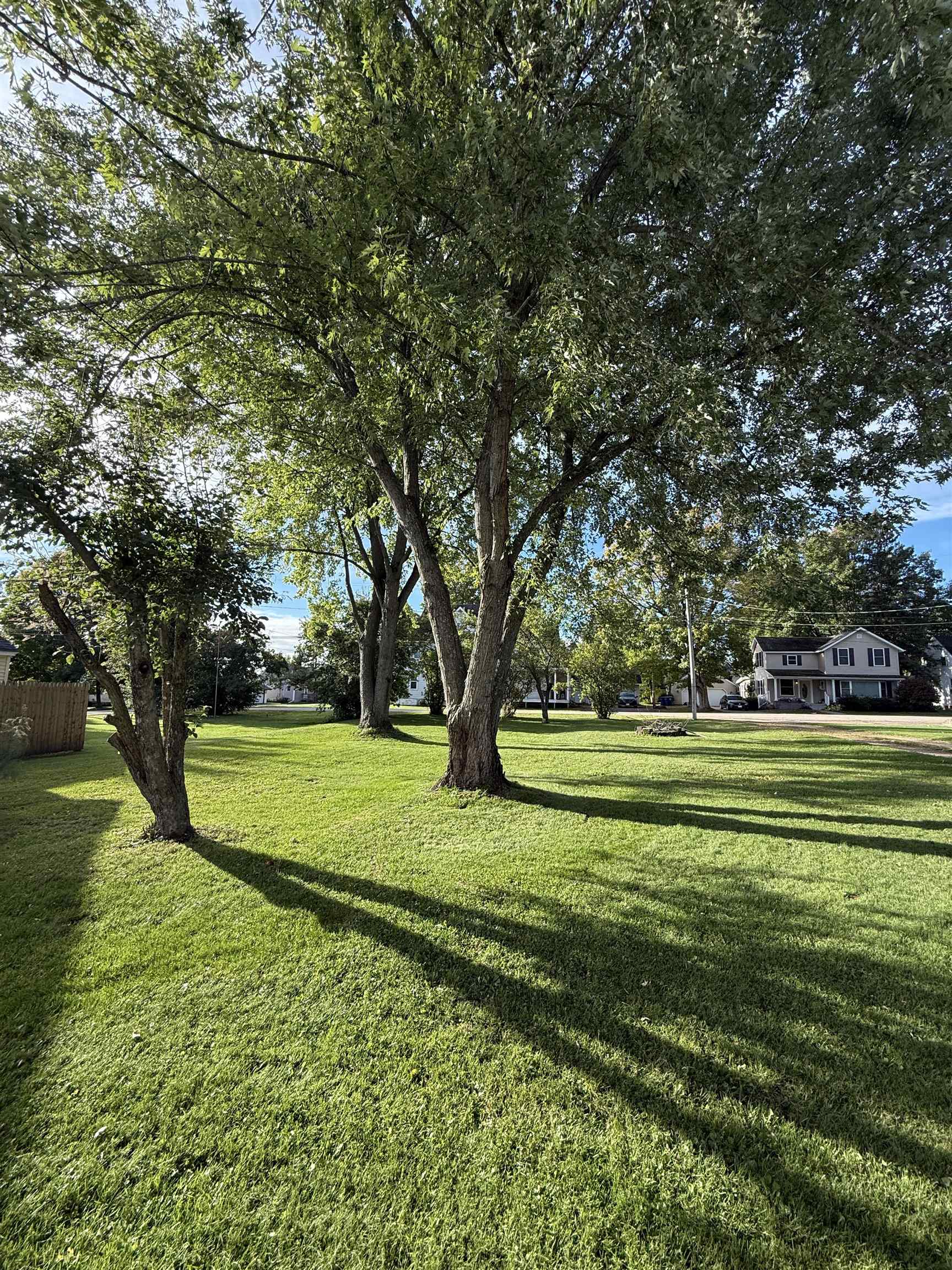 403 Forest Street Property Photo 6