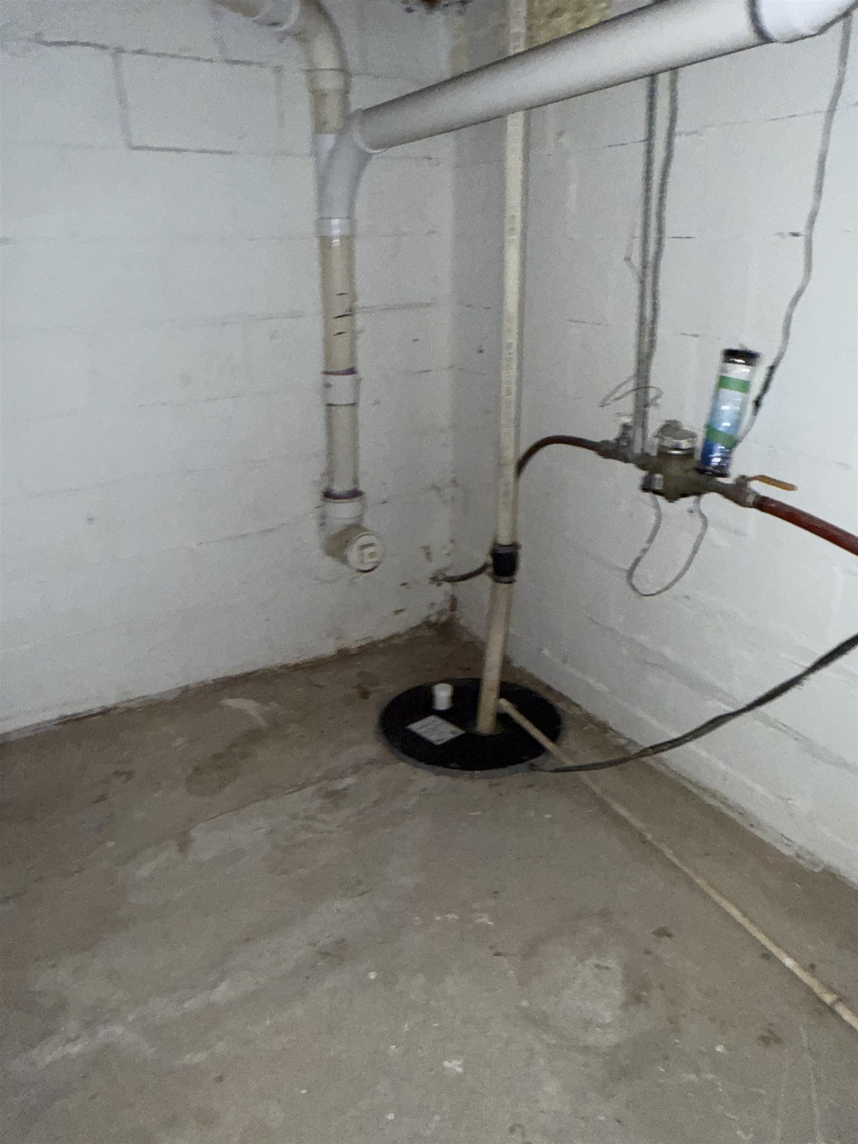 403 Forest Street Property Photo 30