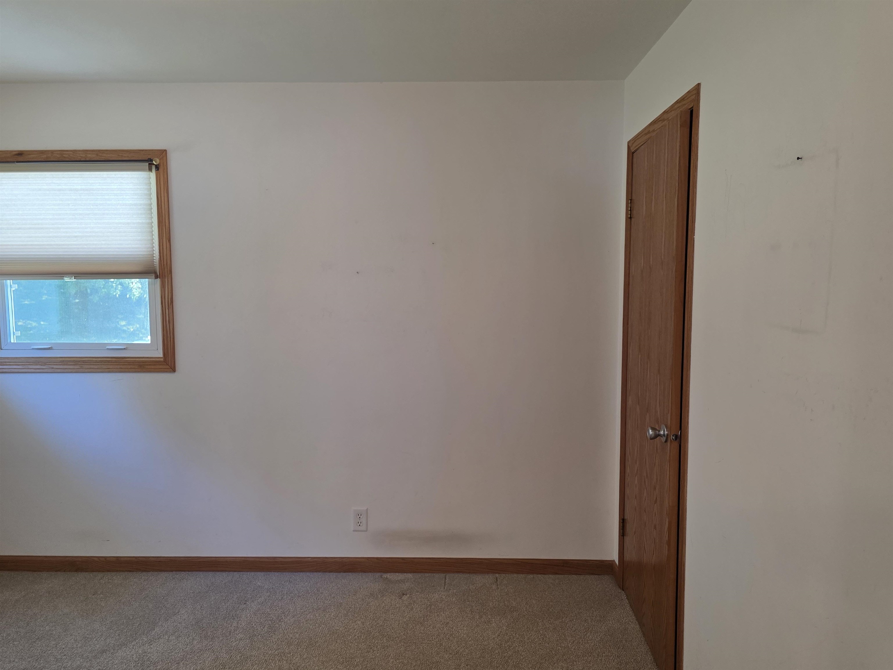 1426 N 1st Avenue Property Photo 28