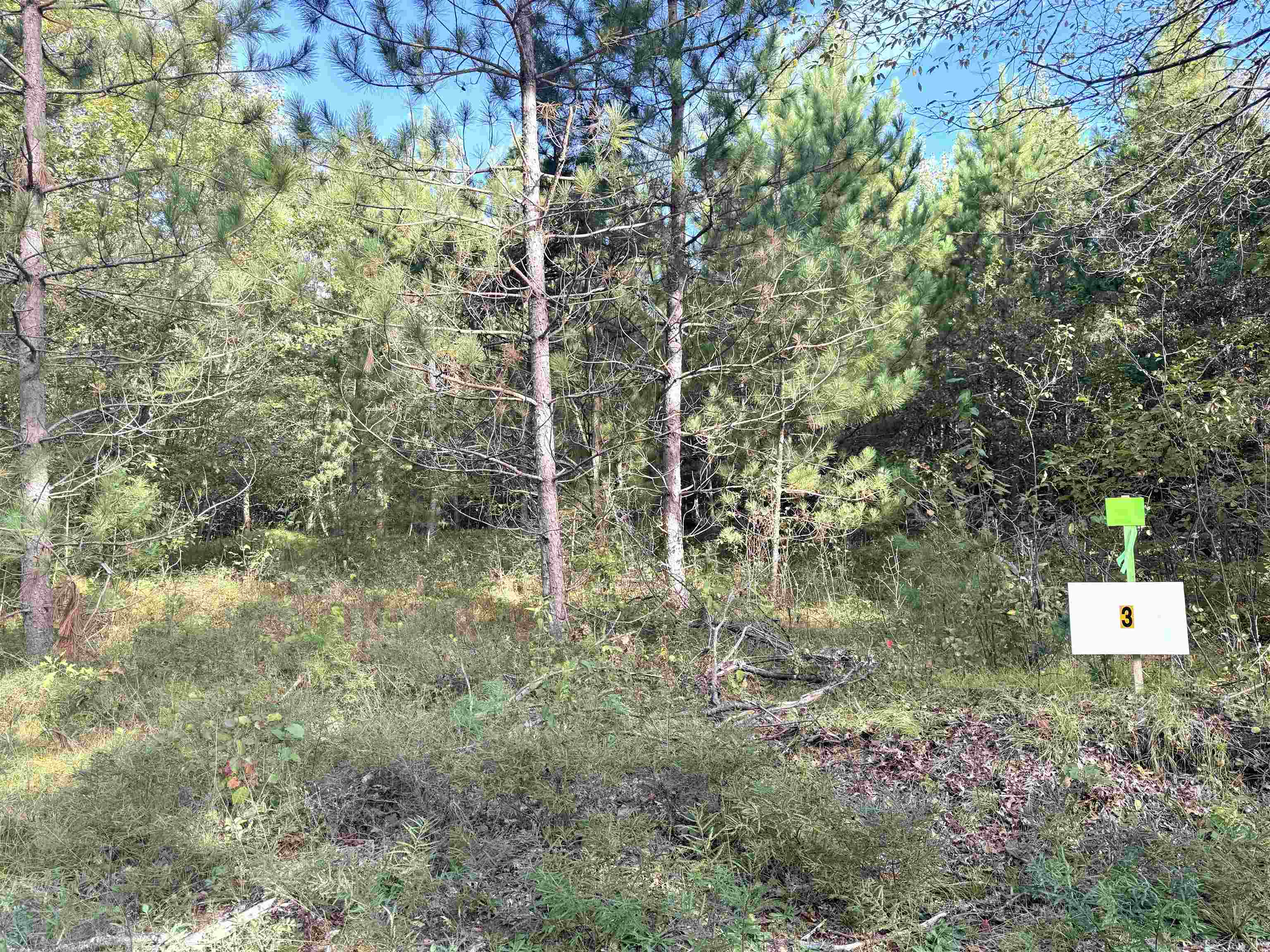 Lot 3 Scout Road Property Photo 3