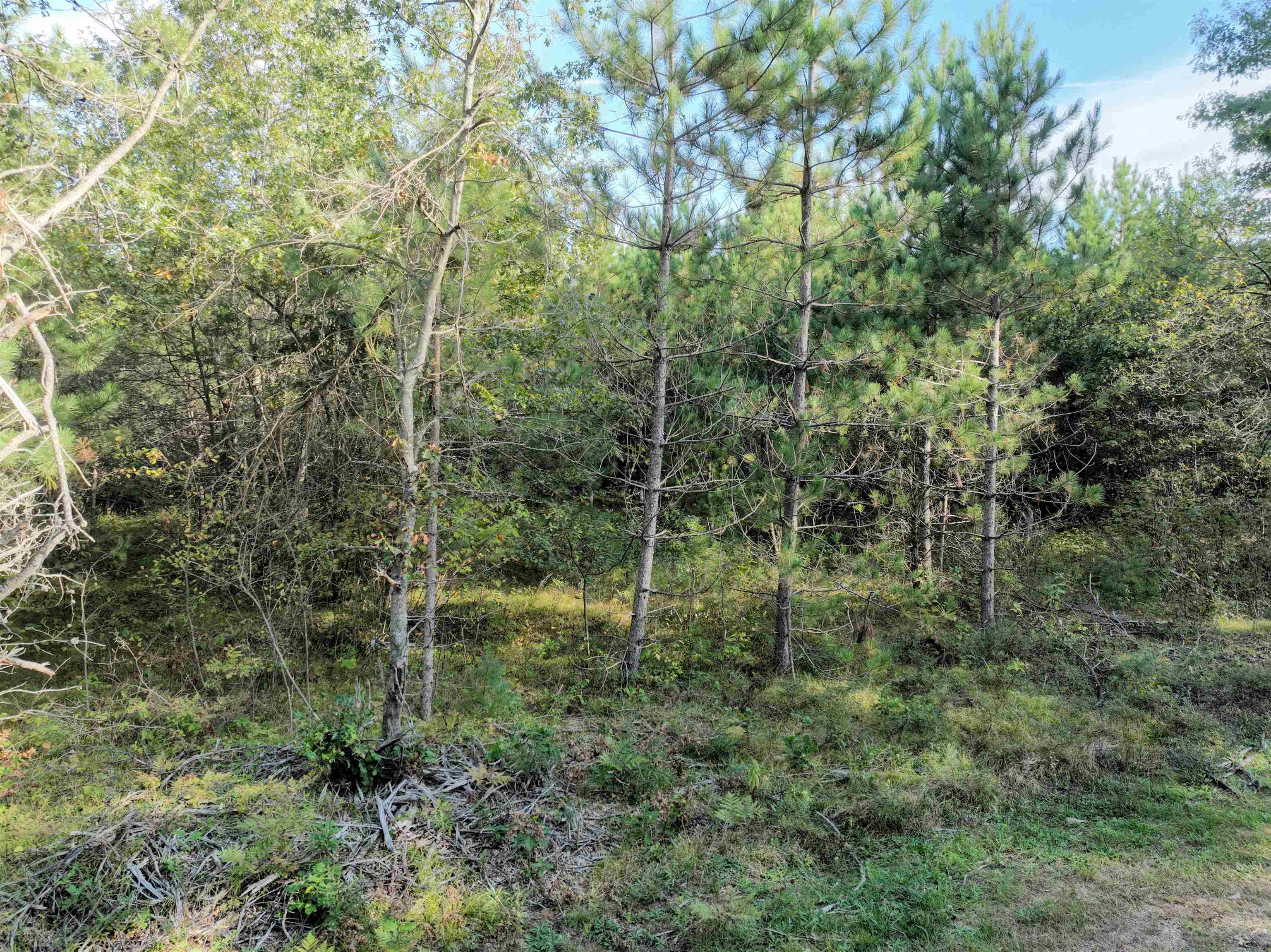 Lot 3 Scout Road Property Photo 7