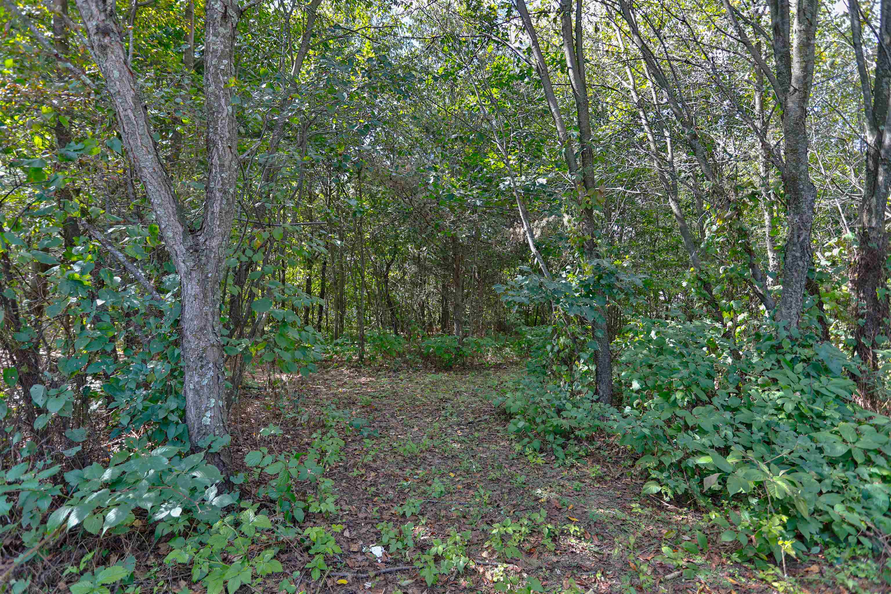 201740 Dorie Lane Property Photo 42