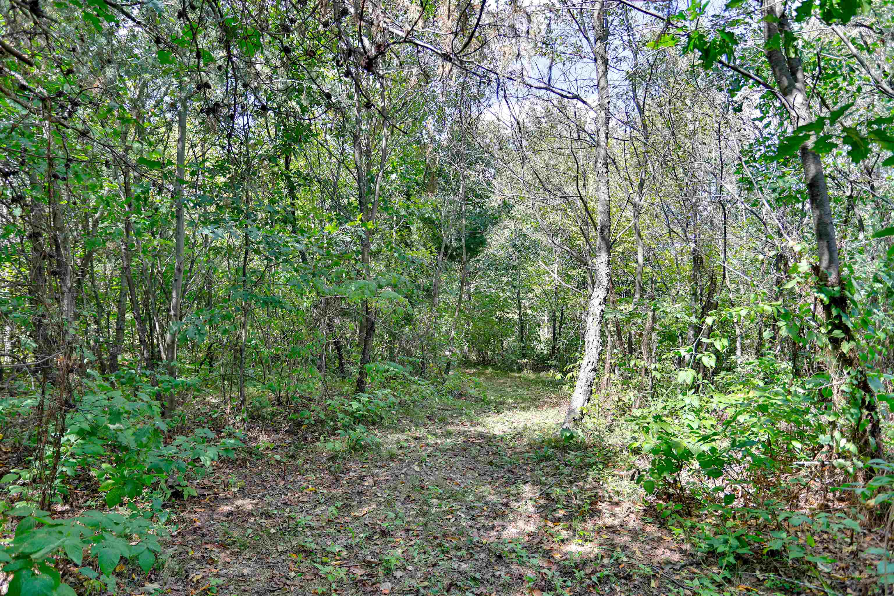 201740 Dorie Lane Property Photo 44