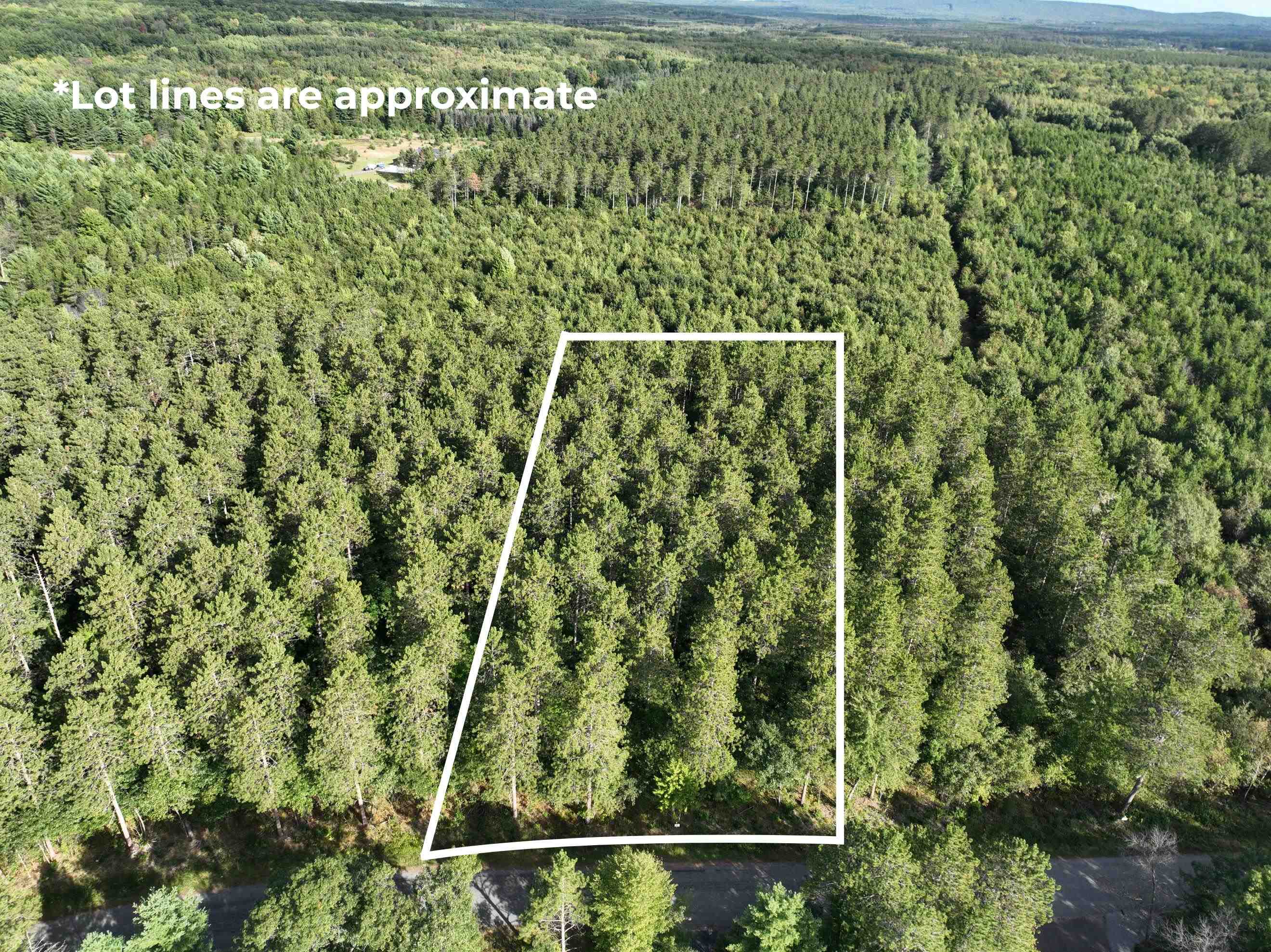 Lot 5 Scout Road Property Photo 1