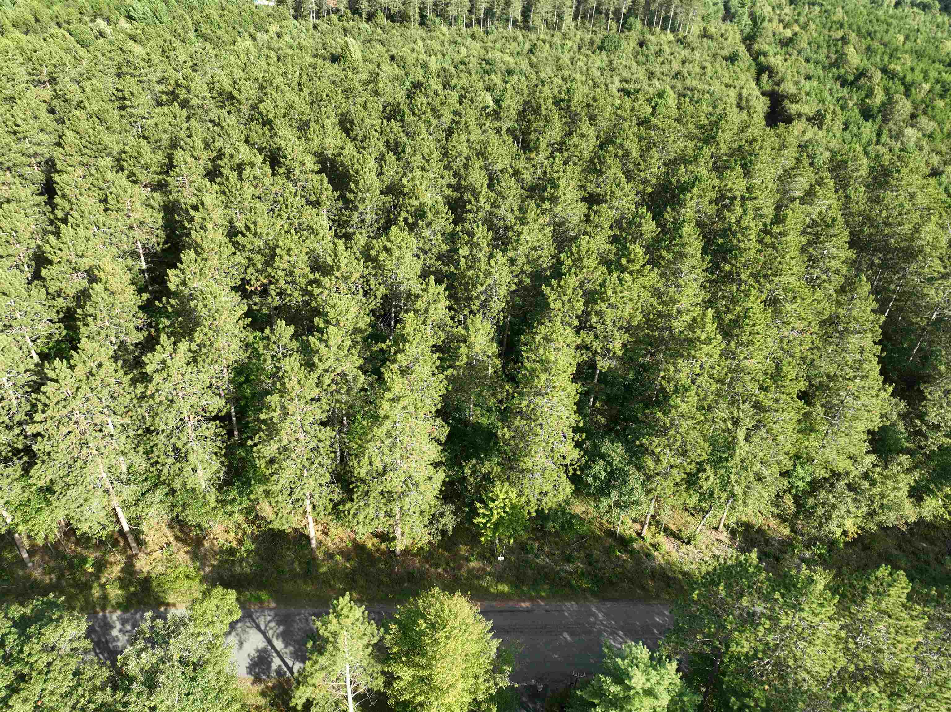 Lot 5 Scout Road Property Photo 2
