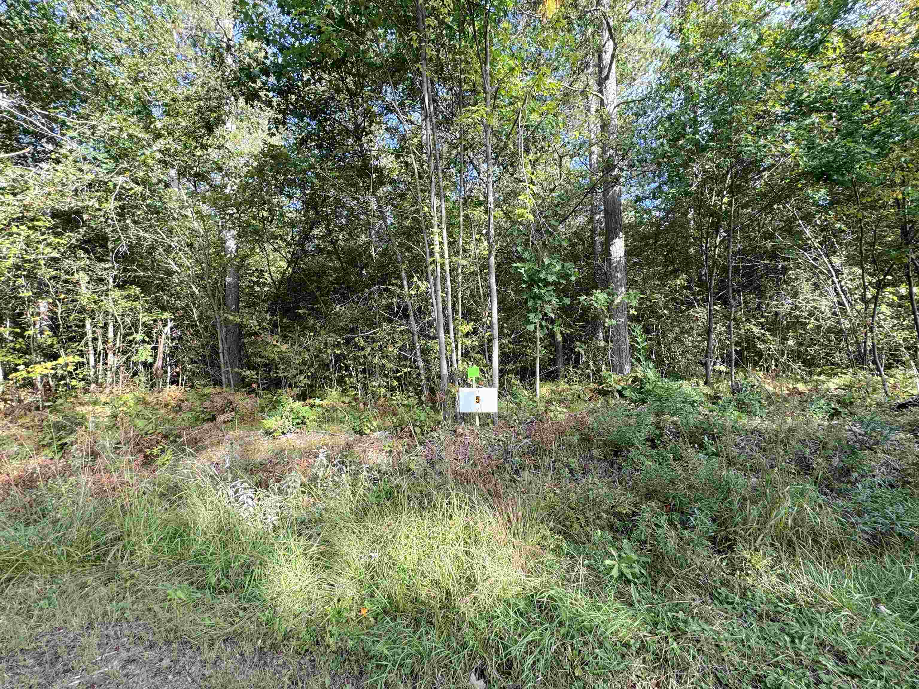 Lot 5 Scout Road Property Photo 3