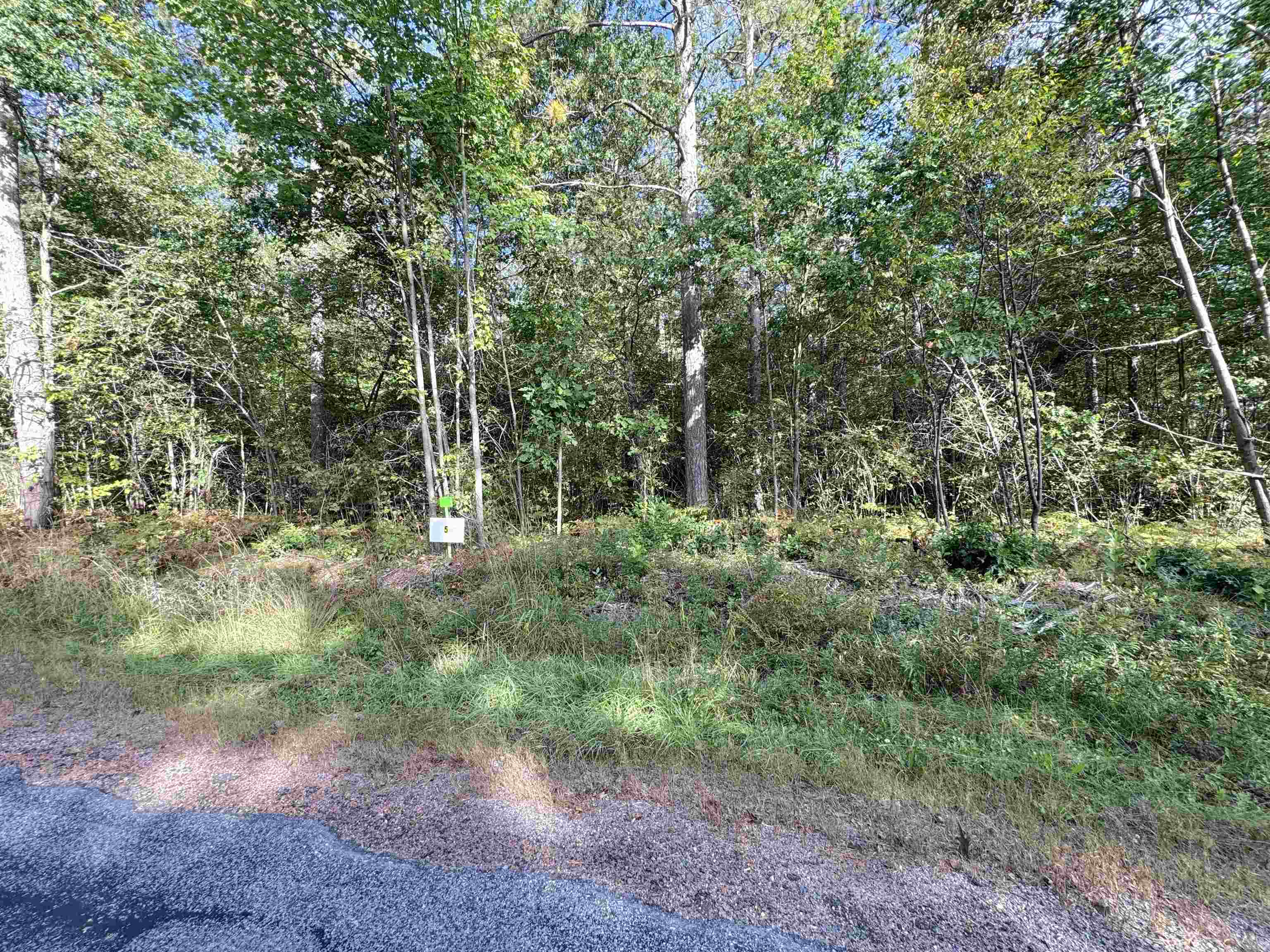 Lot 5 Scout Road Property Photo 4