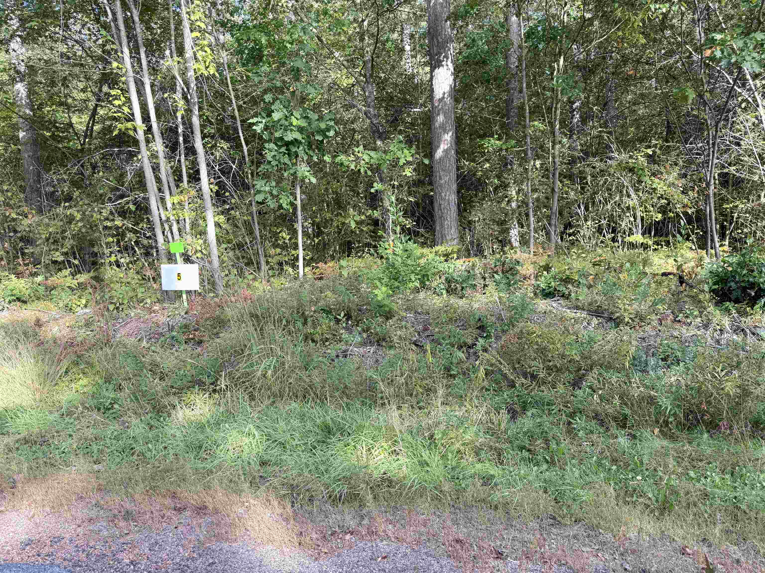 Lot 5 Scout Road Property Photo 5