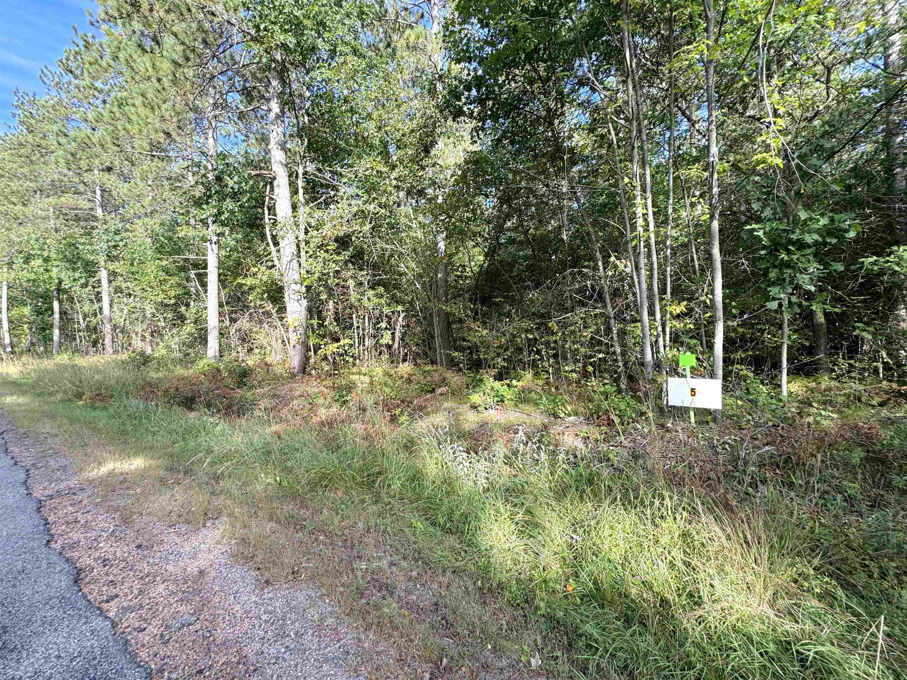 Lot 5 Scout Road Property Photo 6