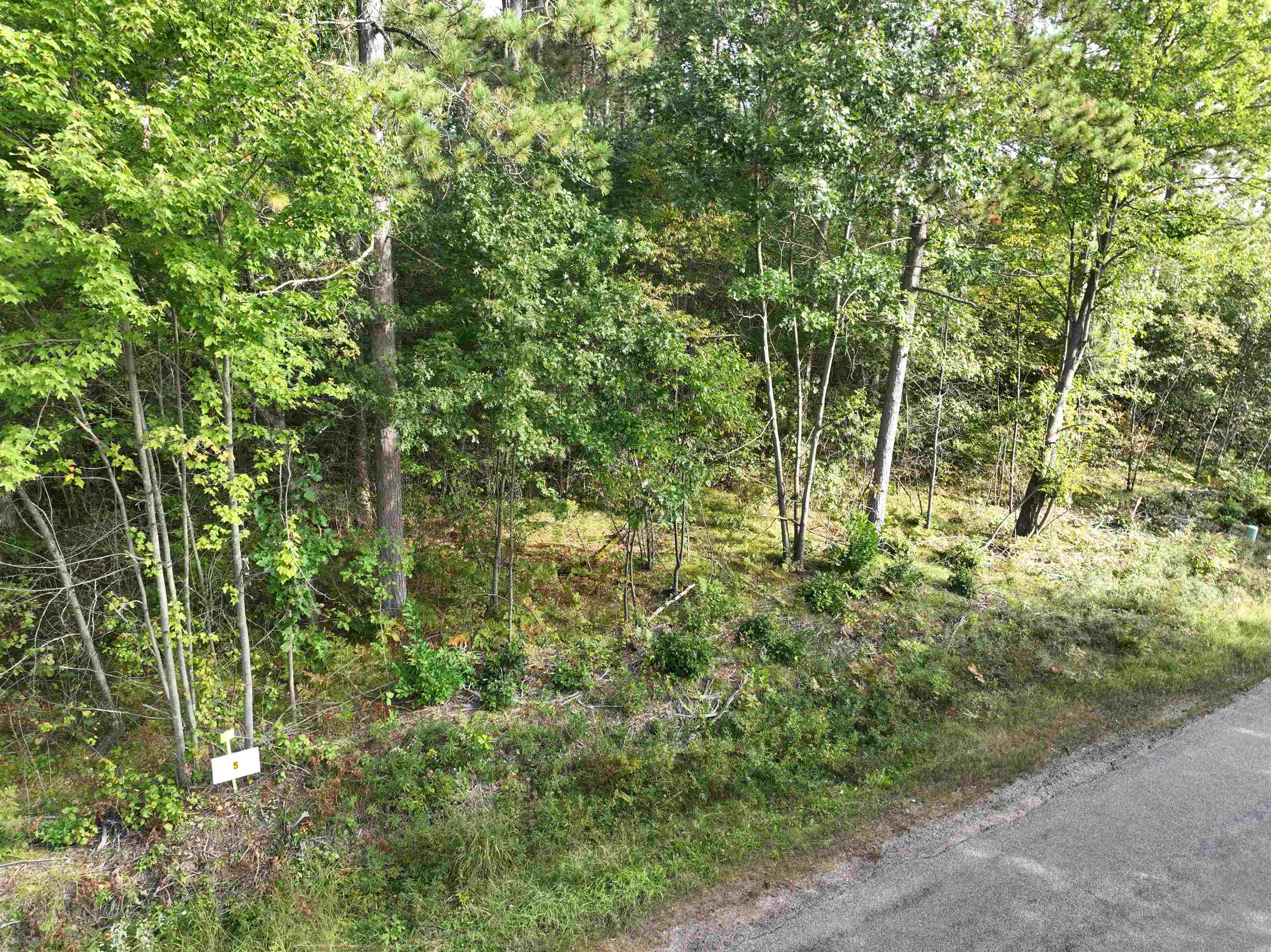 Lot 5 Scout Road Property Photo 7