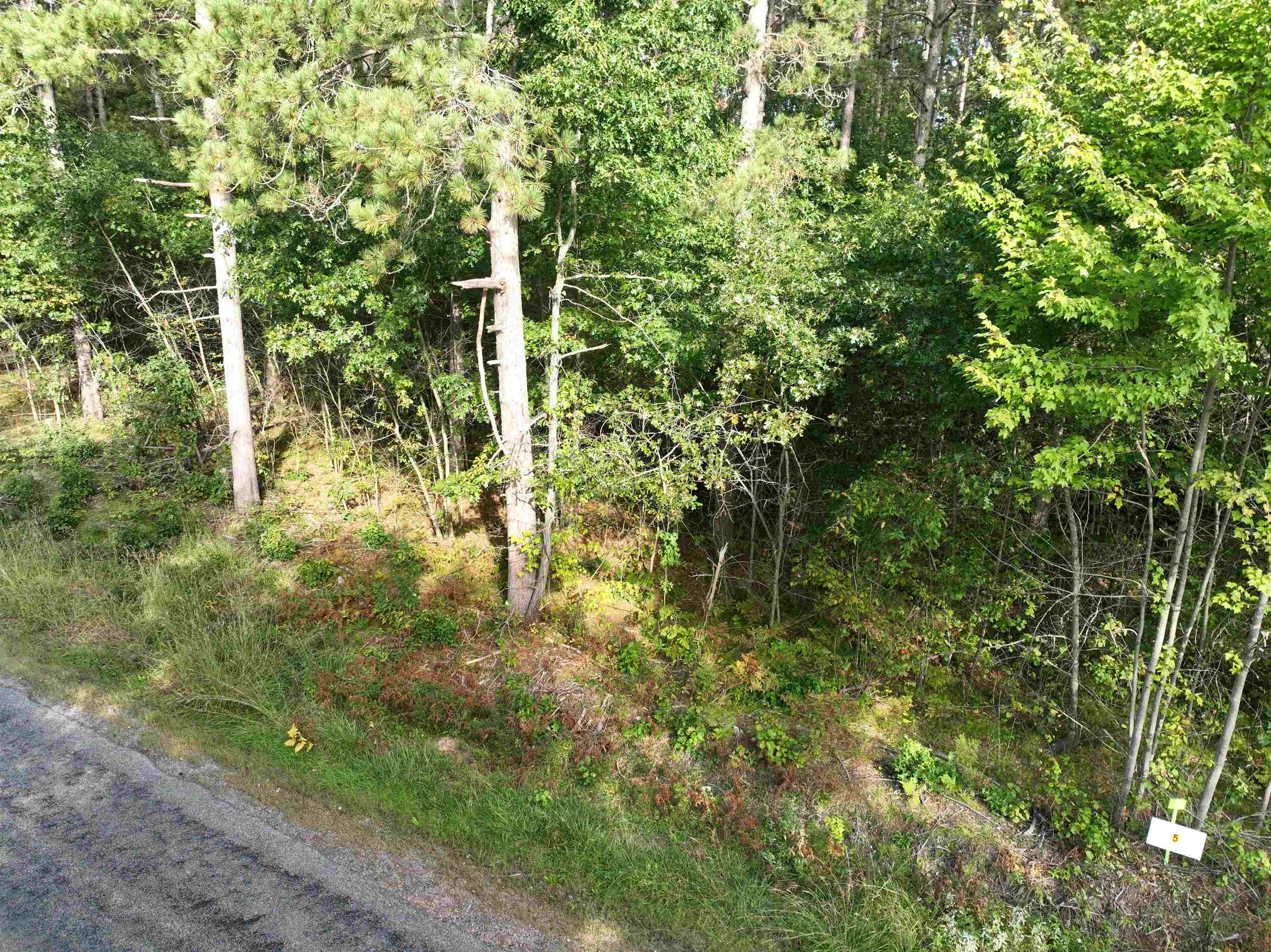 Lot 5 Scout Road Property Photo 8