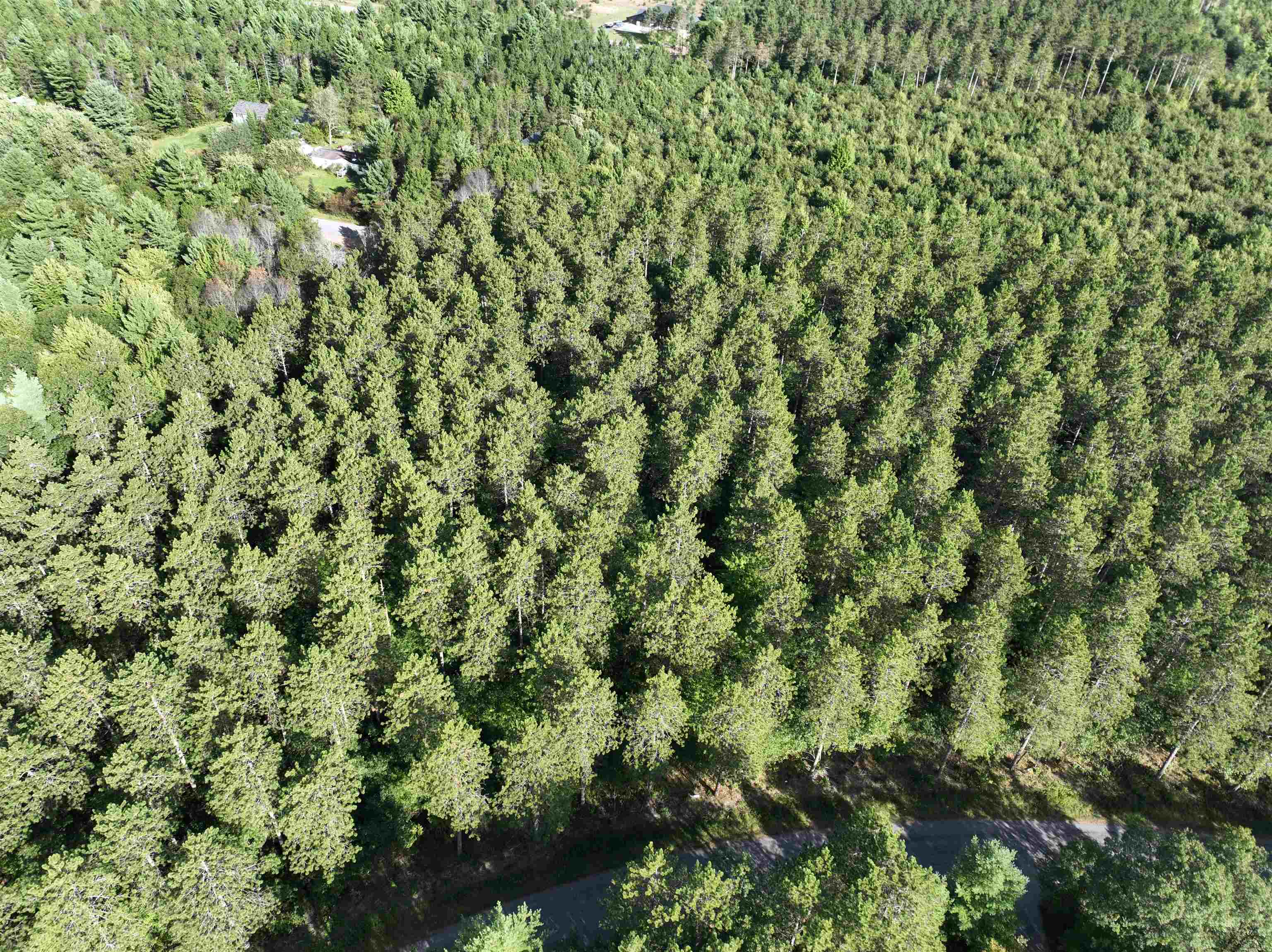 Lot 6 Scout Road Property Photo 2